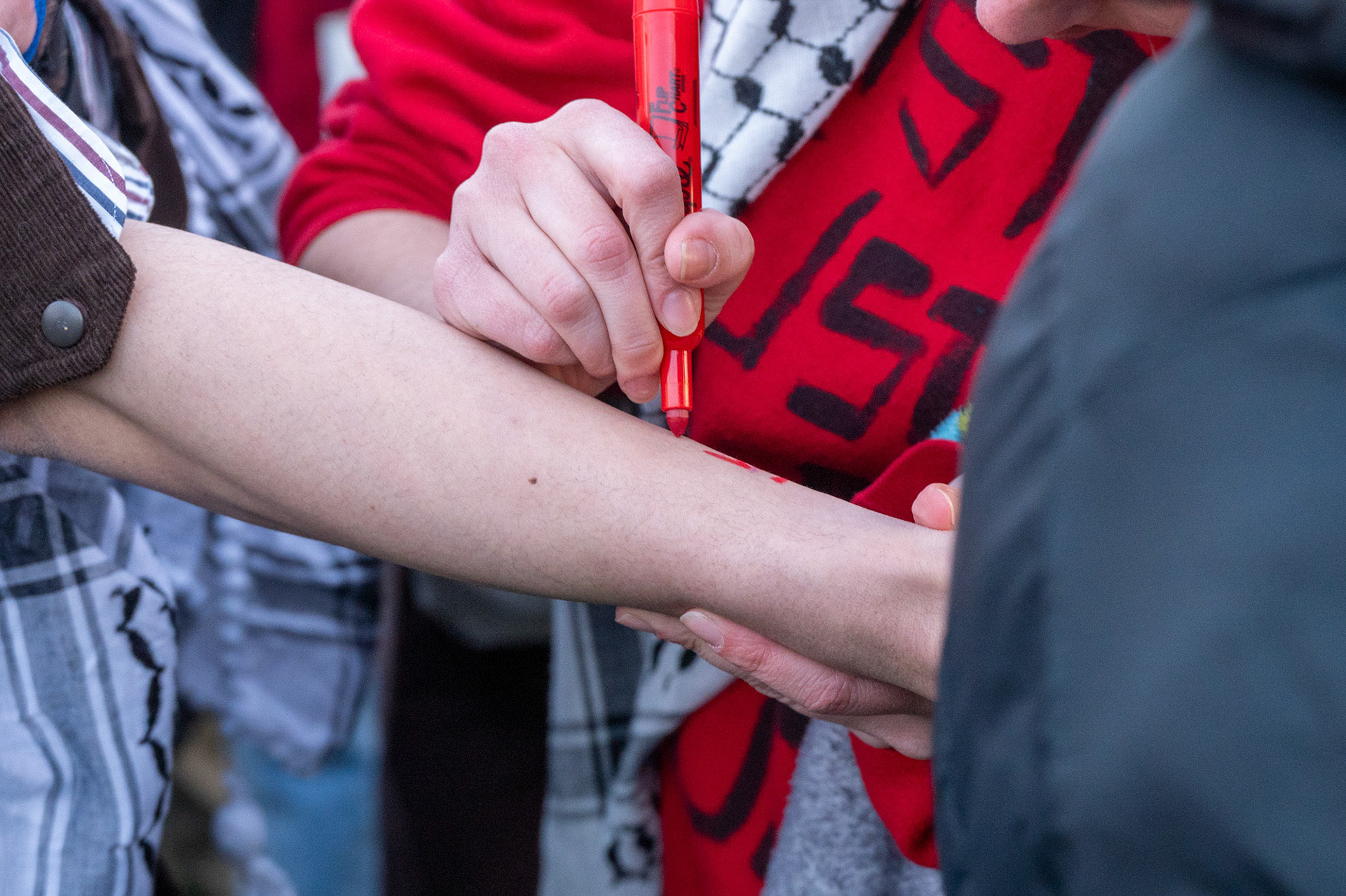In prepartion of facing arrest, students write "prison help" numbers on each other at the CML Encampment on the Arts Quad, April 25th, 2024. (Ming DeMers/Senior Photo)