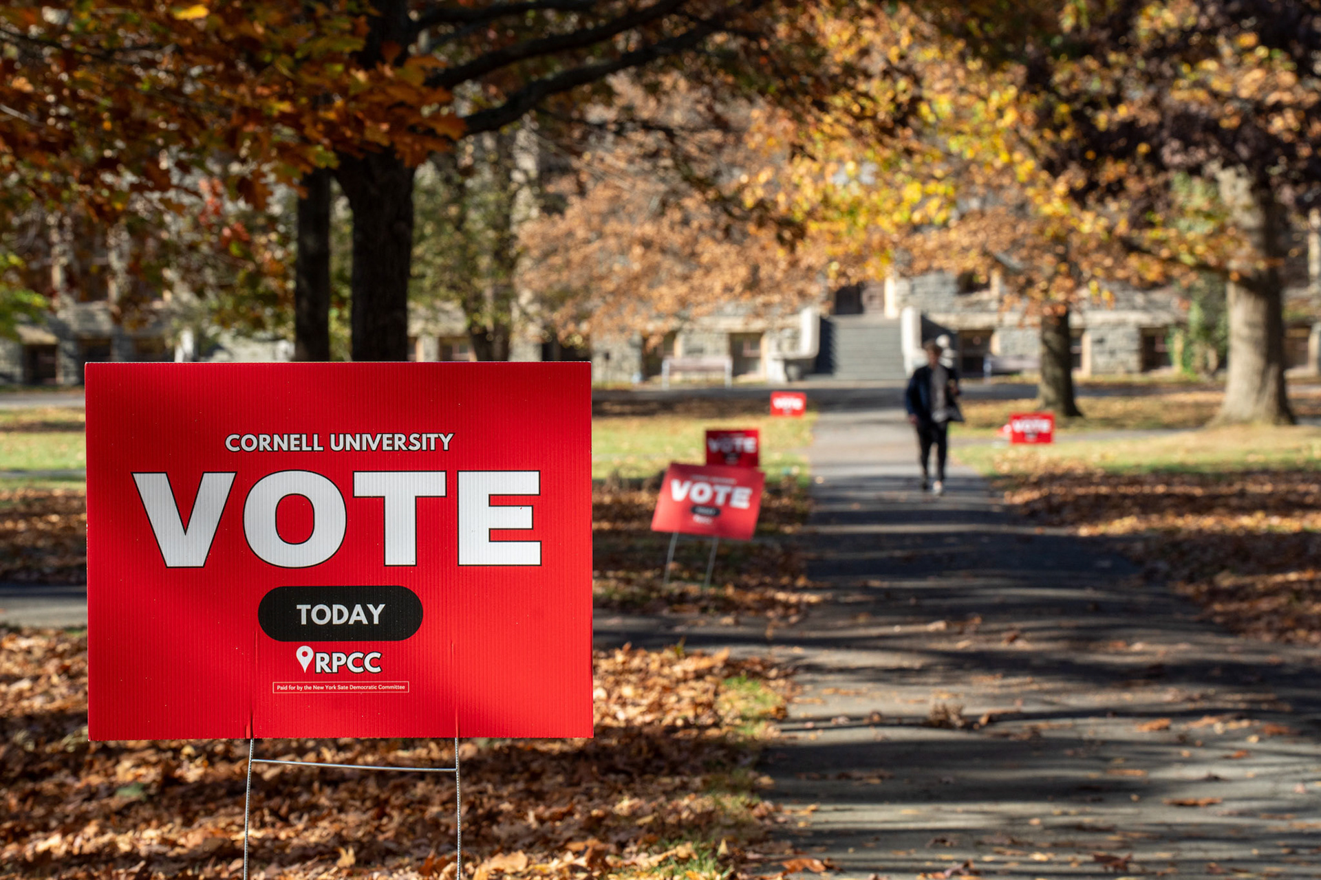 Signs telling students to vote are placed all over the Arts Quad, planted by new york state democratic committee workers, Election Day, Nov 5, 2024. (Ming DeMers Sun Photography Editor)