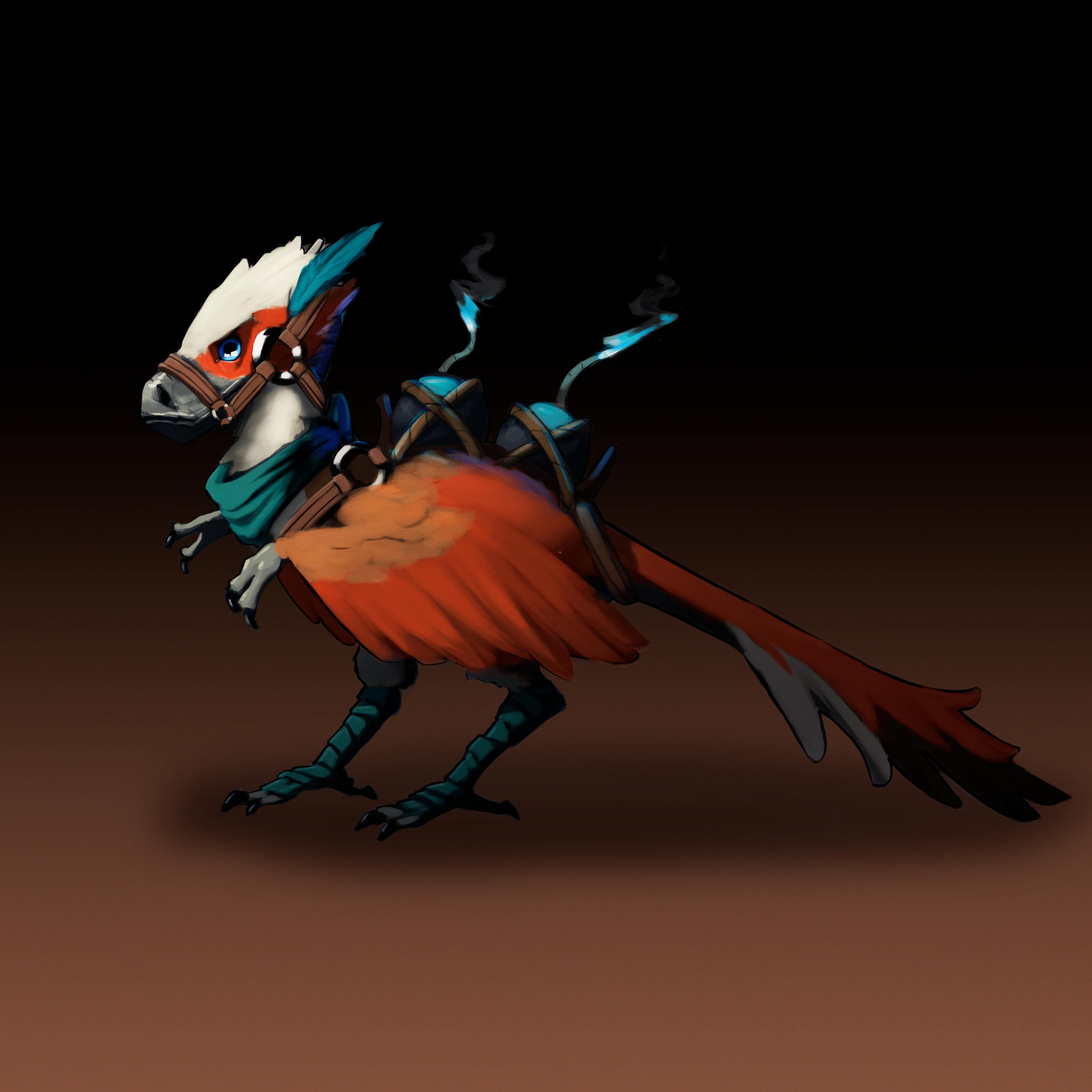 Pirate Companion 