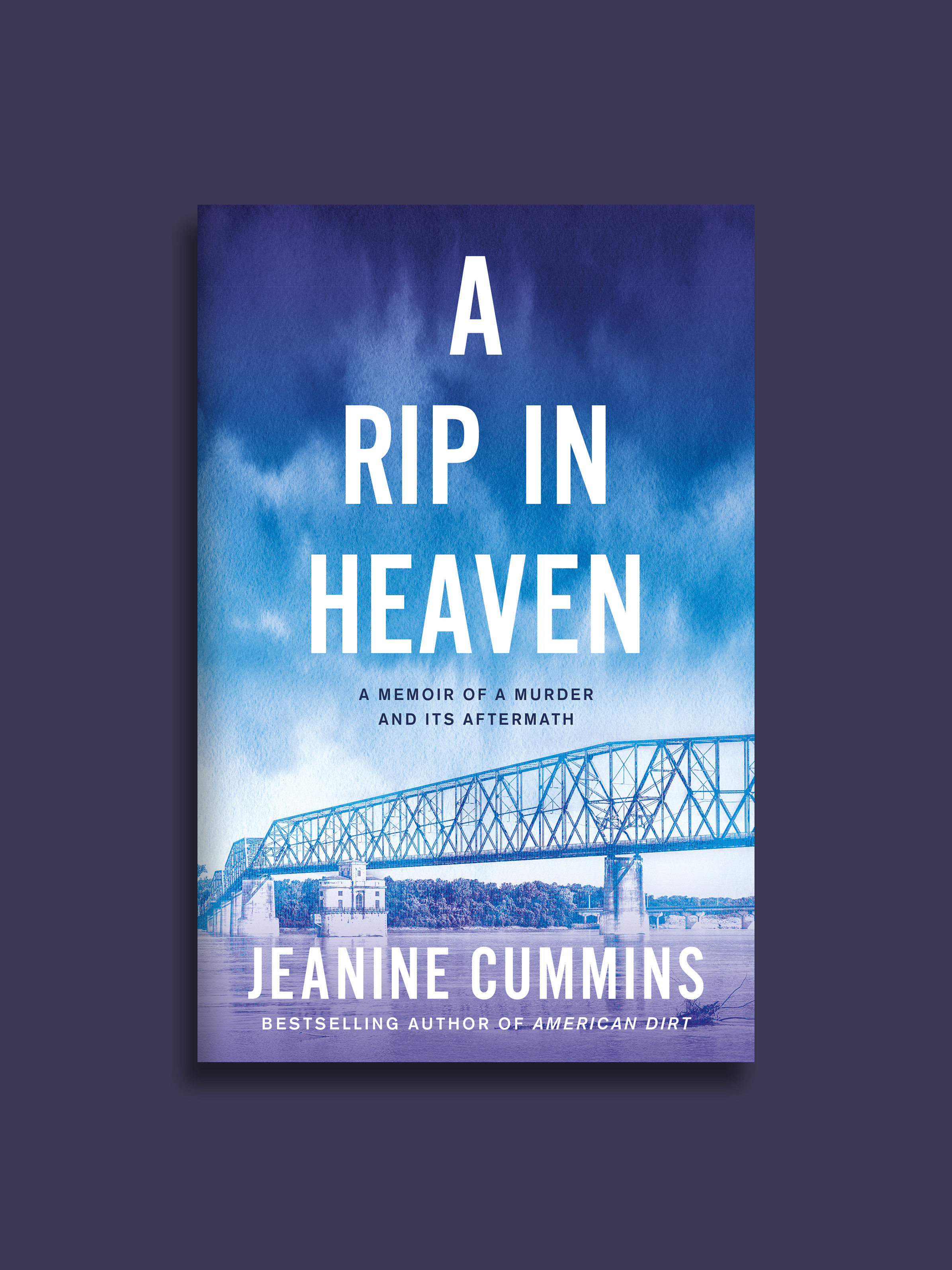 Sophie Ellis Illustrator A Rip In Heaven Jeanine Cummins