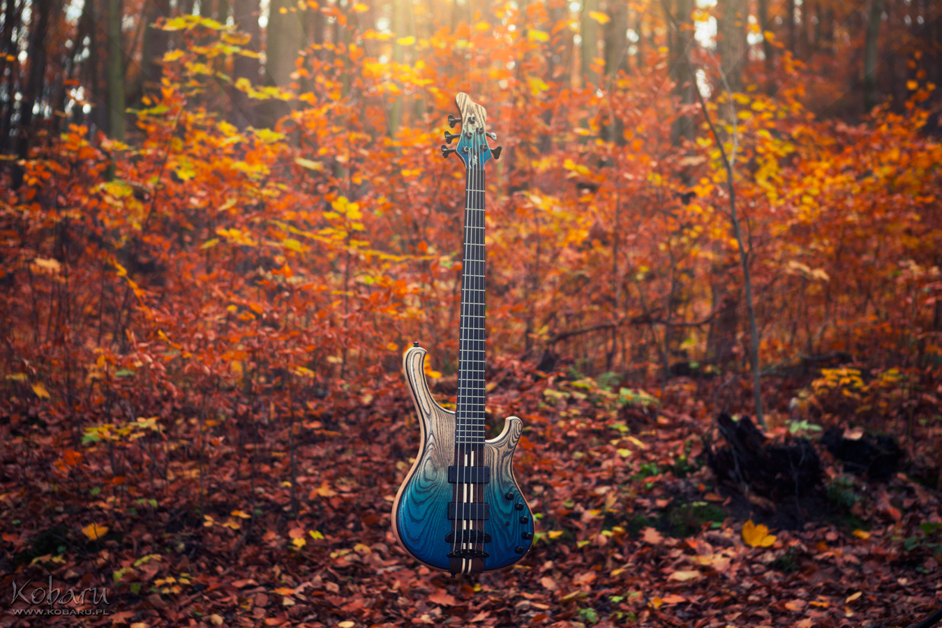 Mayones Guitars Basses