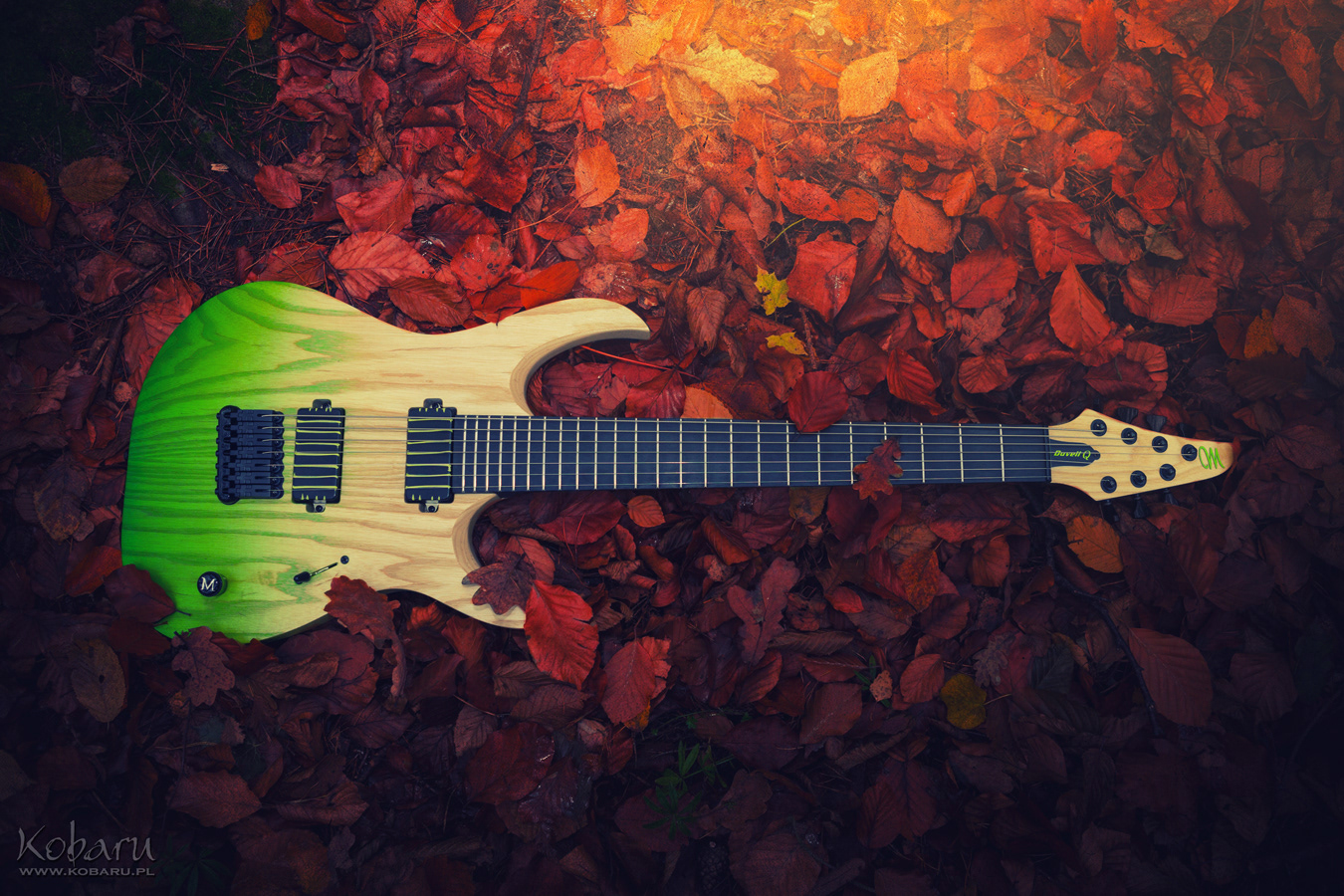 Mayones Guitars Basses