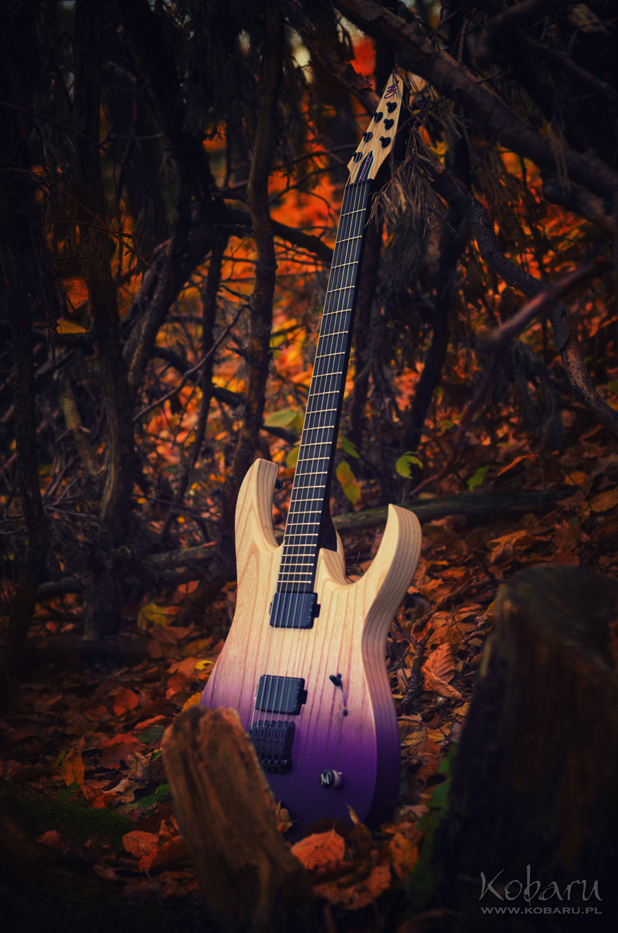 Mayones Guitars Basses