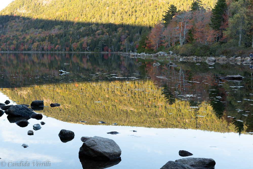 DIFFERENT LIGHT - DIFFERENT COLORS