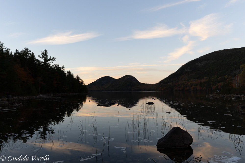 THE SEDUCTION OF DUSK