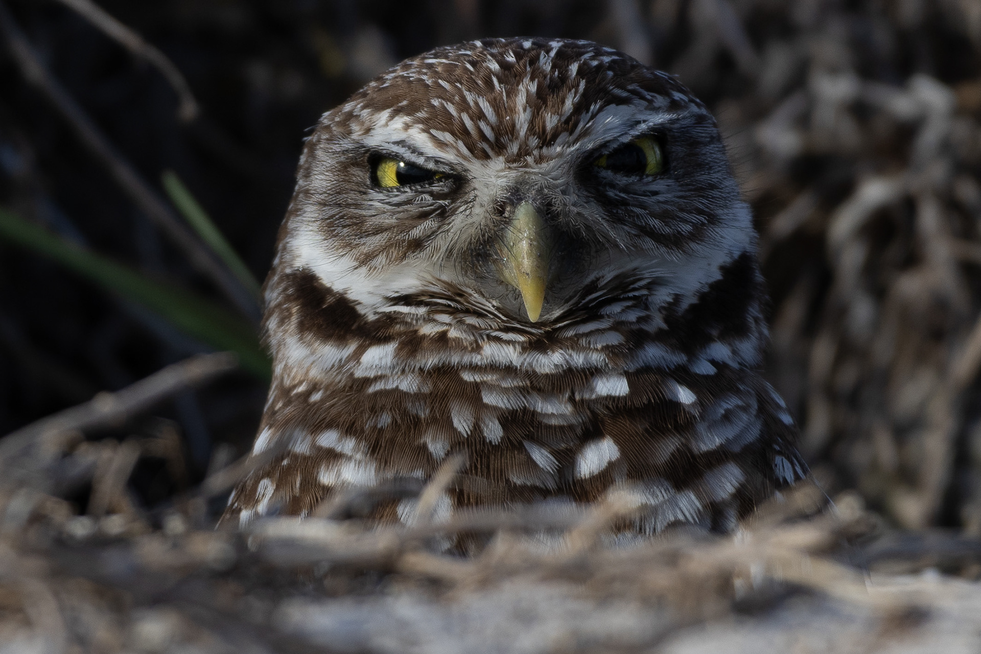 You Talkin To ME?
