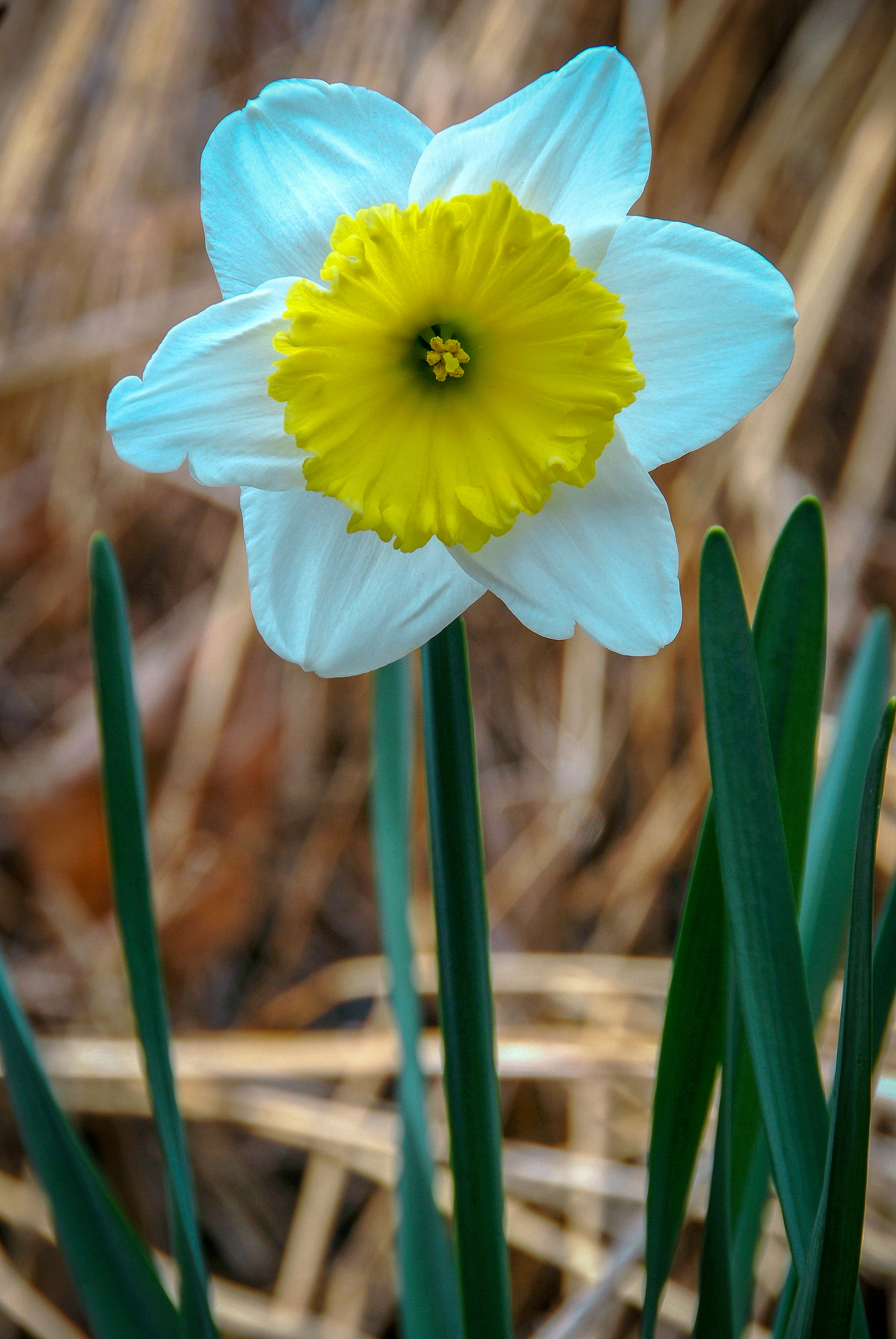 April 12, 2011