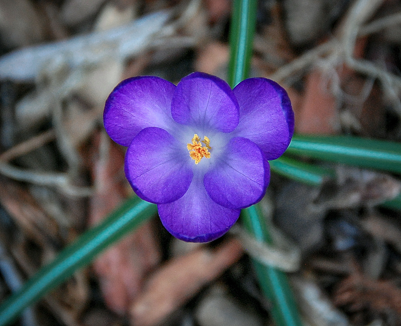 April 11, 2011
