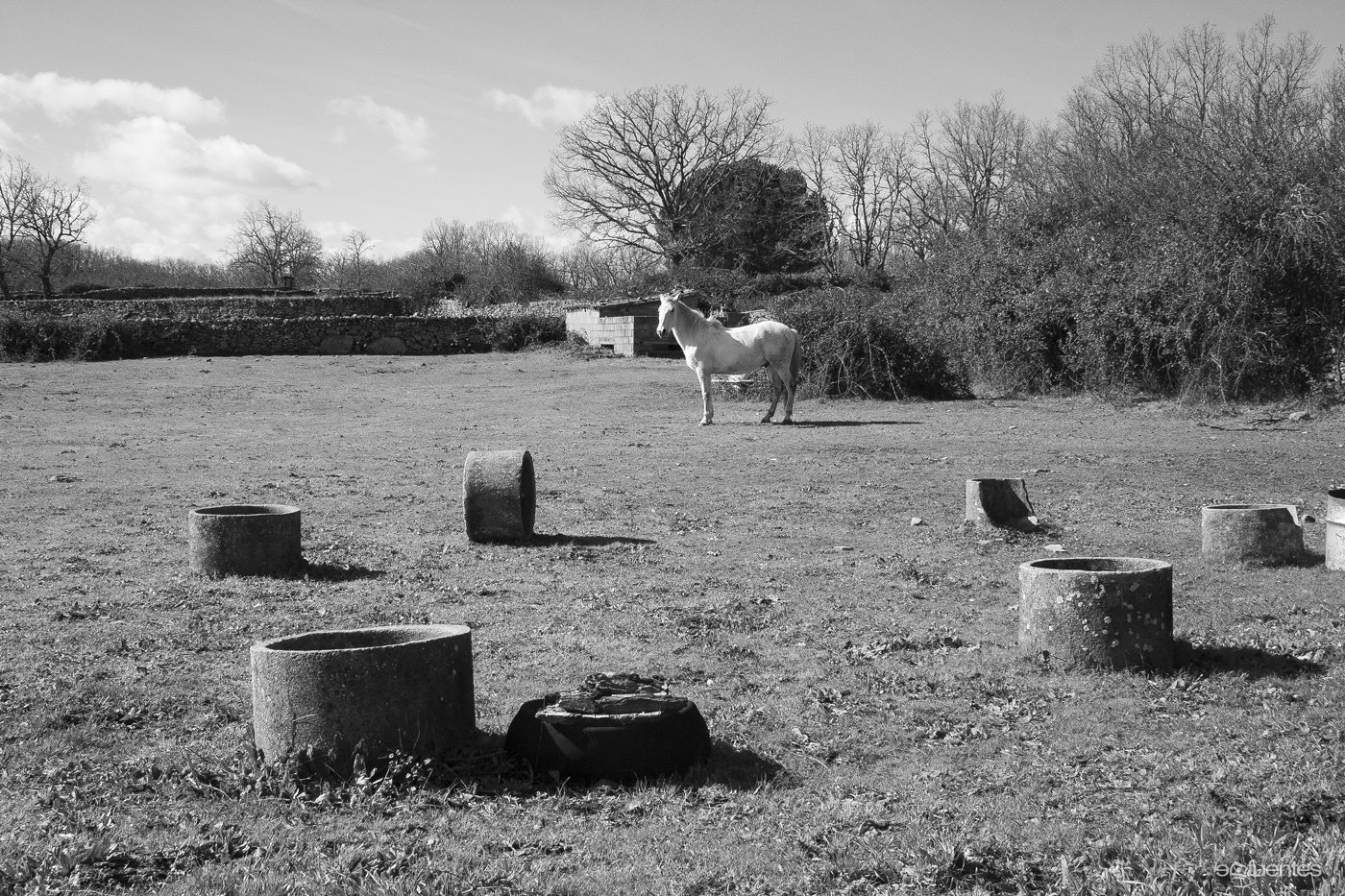 Rural