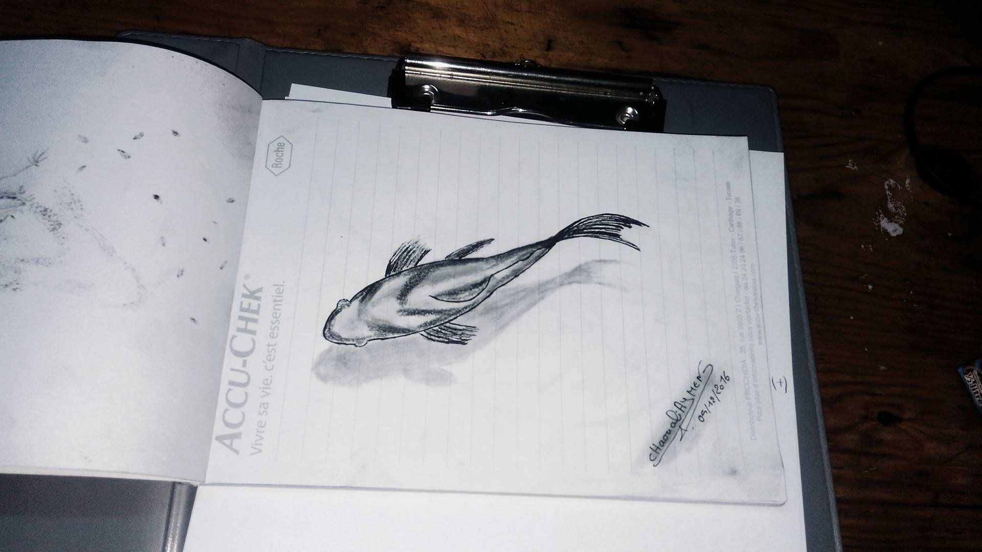 Artist: Aymen Chaouali