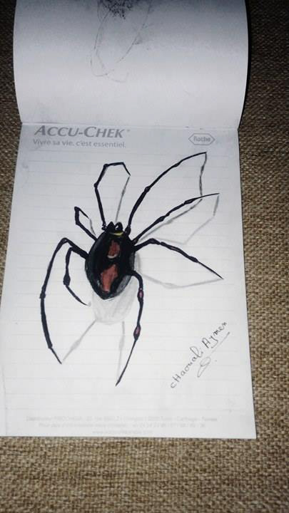 Artist: Aymen Chaouali