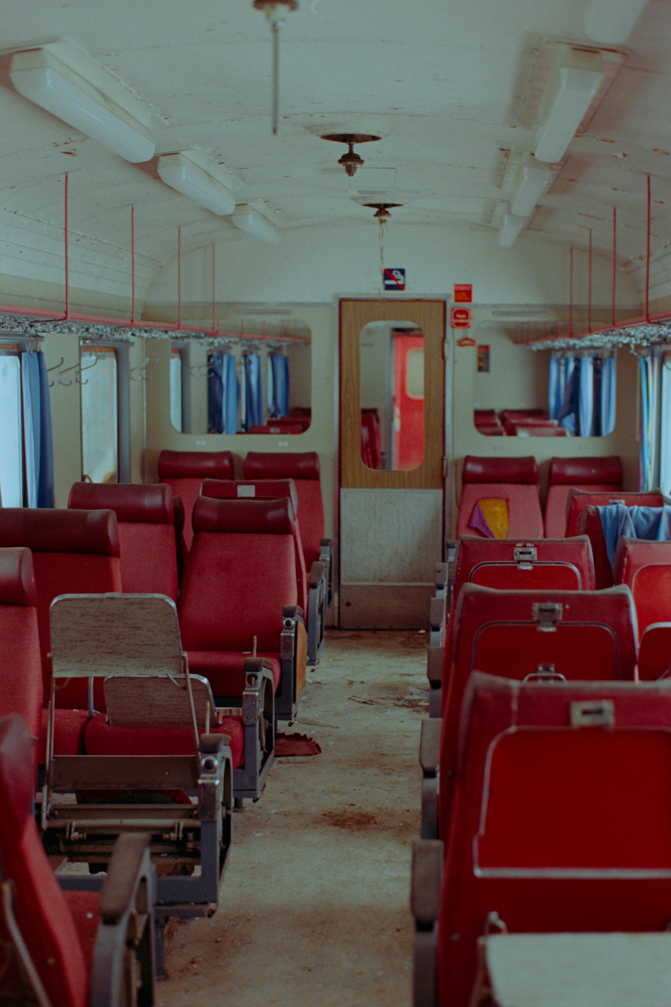 Pentax MZ-S - 50mm F1.4 - Fujifulm 400