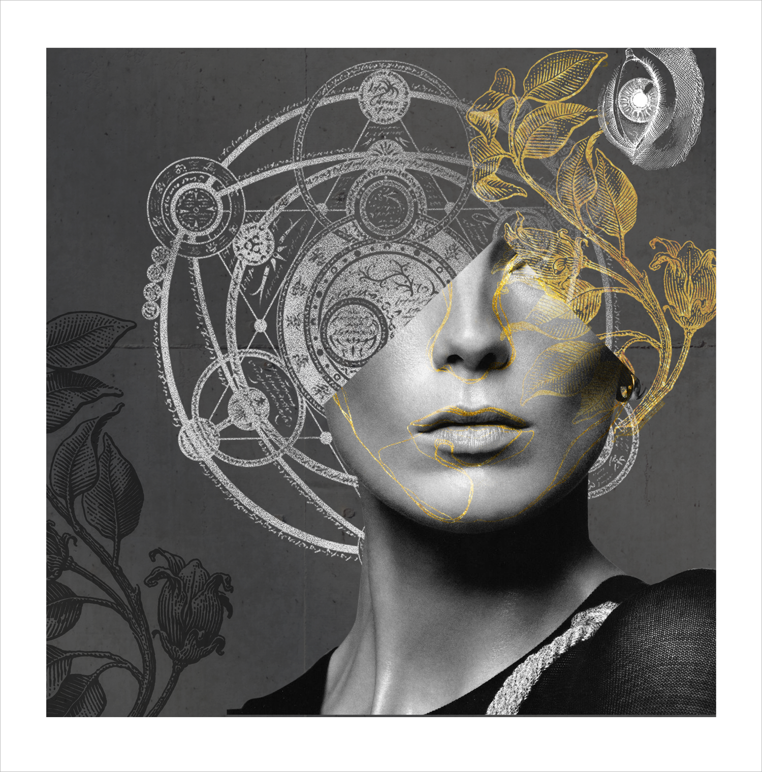 Illustration / collage digital