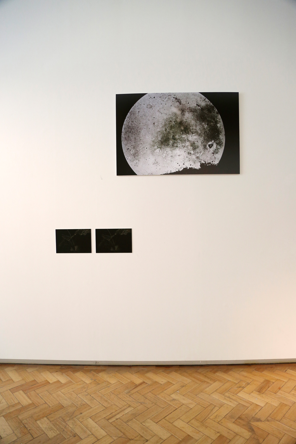 "TROPISMO FOTOGRÁFICO", oMuseu Faculdade de Belas Artes da Universidade do Porto - Bienal de Fotografia do Porto, Maio 2019. Curadoria: Susana Lourenço Marques, Luis Pinto Nunes