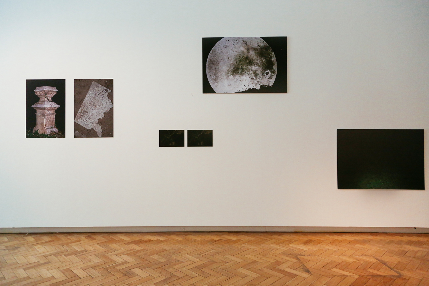 "TROPISMO FOTOGRÁFICO", oMuseu Faculdade de Belas Artes da Universidade do Porto - Bienal de Fotografia do Porto, Maio 2019. Curadoria: Susana Lourenço Marques, Luis Pinto Nunes