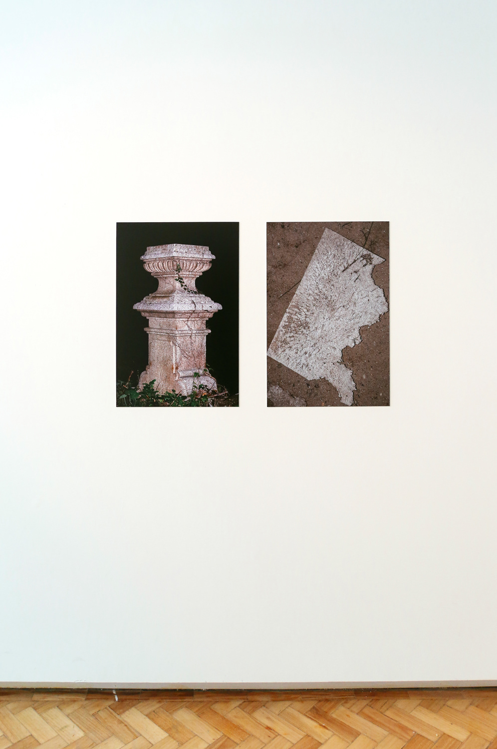 "TROPISMO FOTOGRÁFICO", oMuseu Faculdade de Belas Artes da Universidade do Porto - Bienal de Fotografia do Porto, Maio 2019. Curadoria: Susana Lourenço Marques, Luis Pinto Nunes