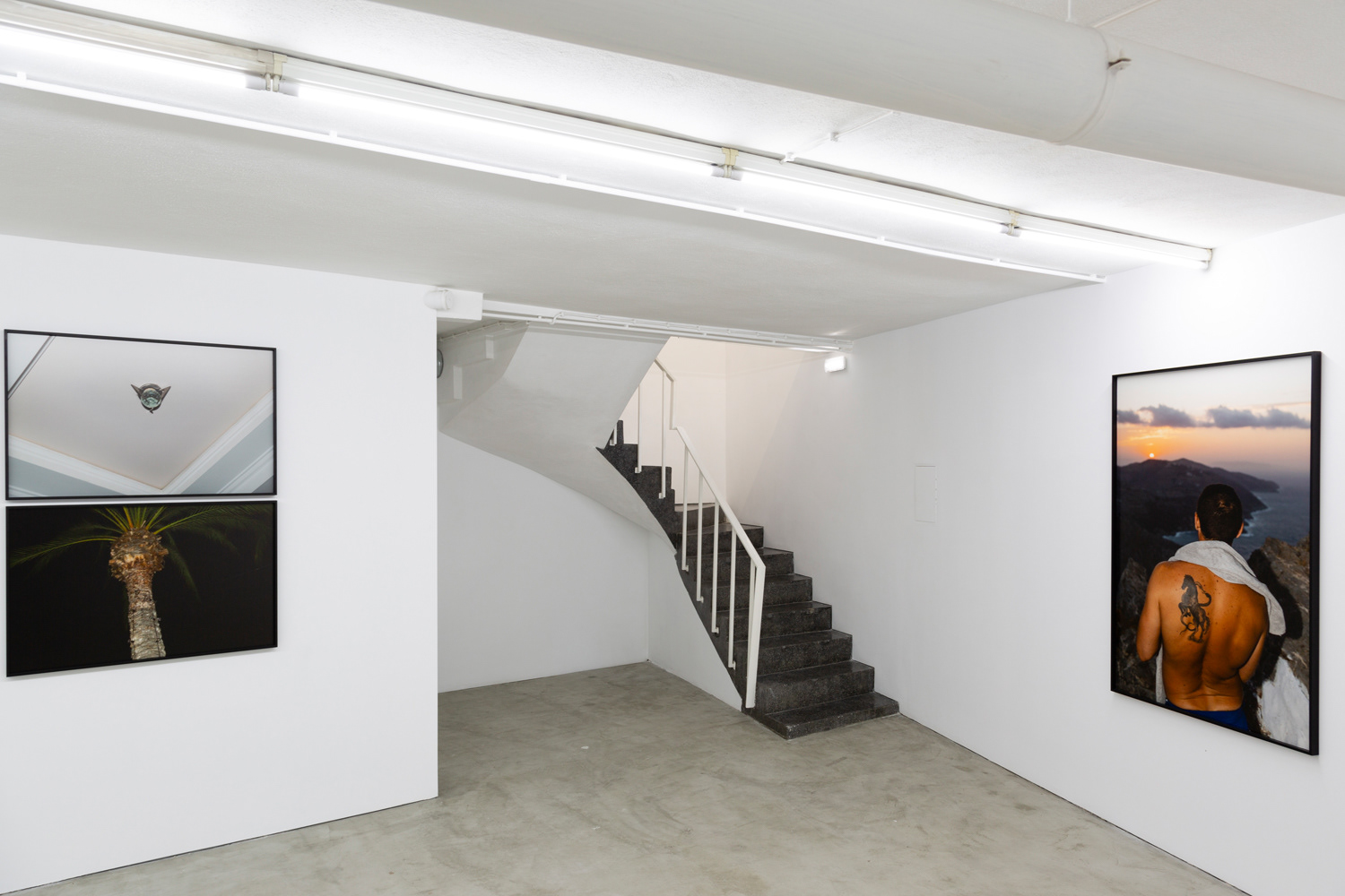 "TRACE", Galeria Lehmann+Silva, Maio 2018. Curadoria: Susana Rodrigues