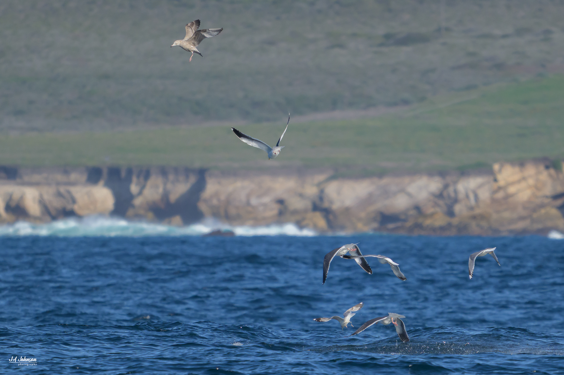 Near Diablo Canyon Nuclear Power Station
