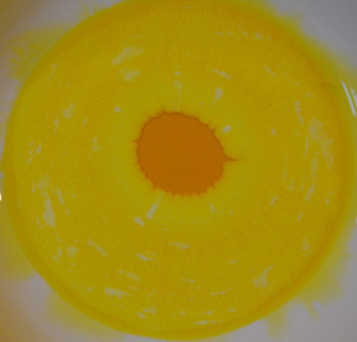 Food colouring and milk