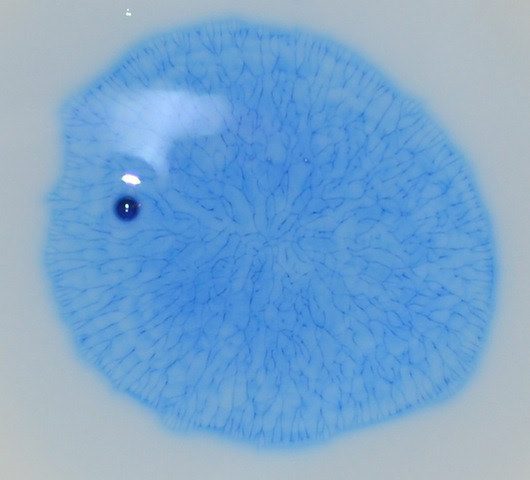 Food colouring and milk