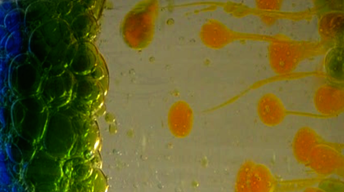 Food colouring and cooking oil
