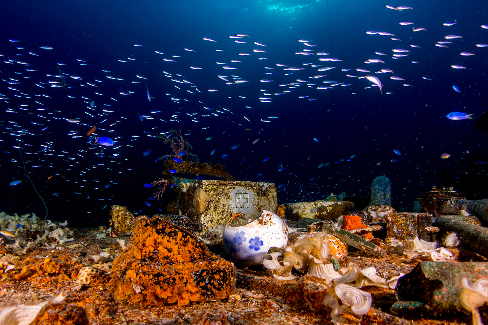 Shinkoku Maru Artifacts