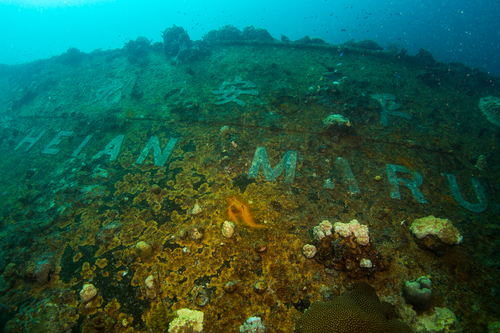 Heian Maru Bow