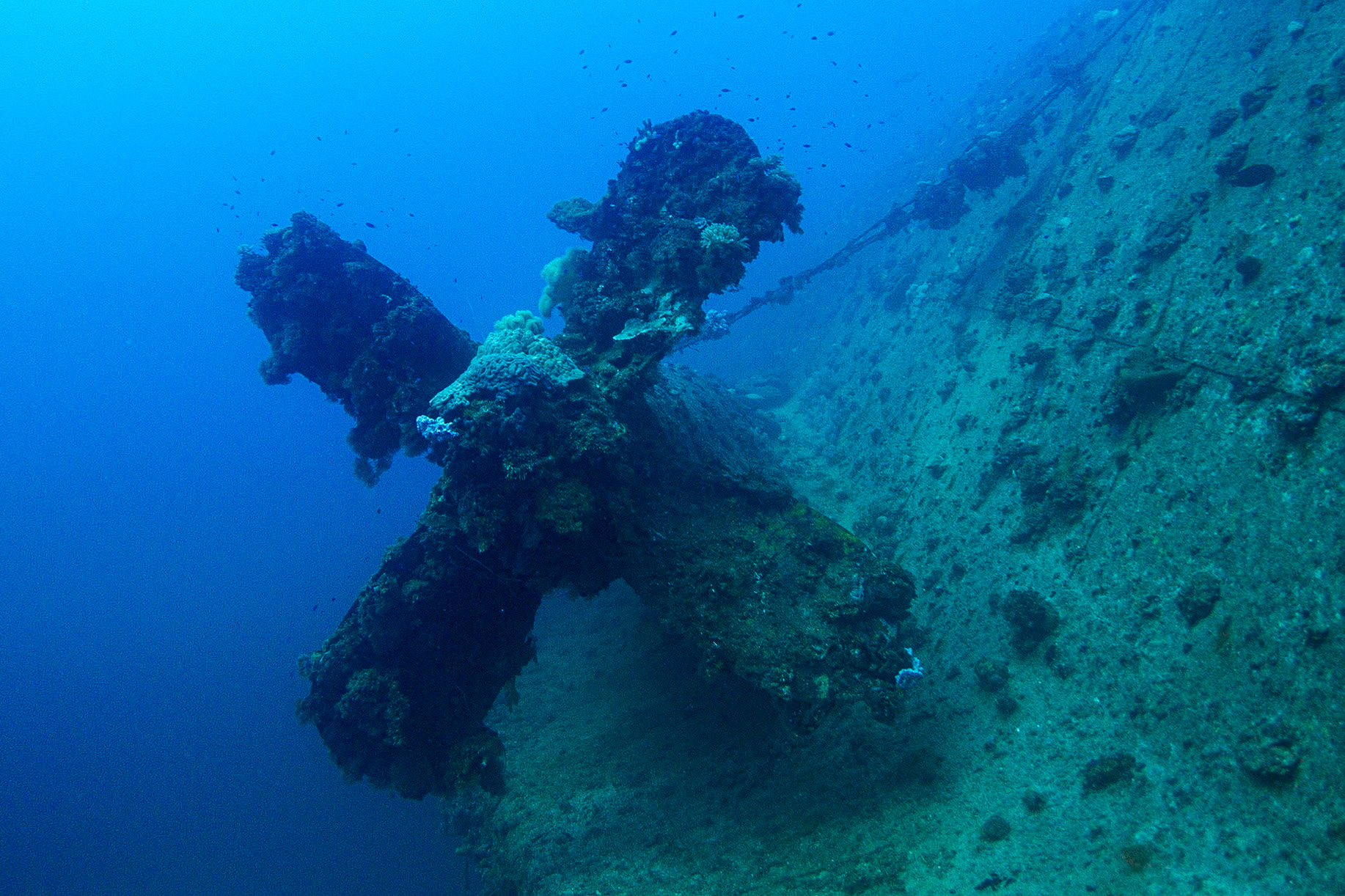 Stern Propellor - Rio De Janeiro