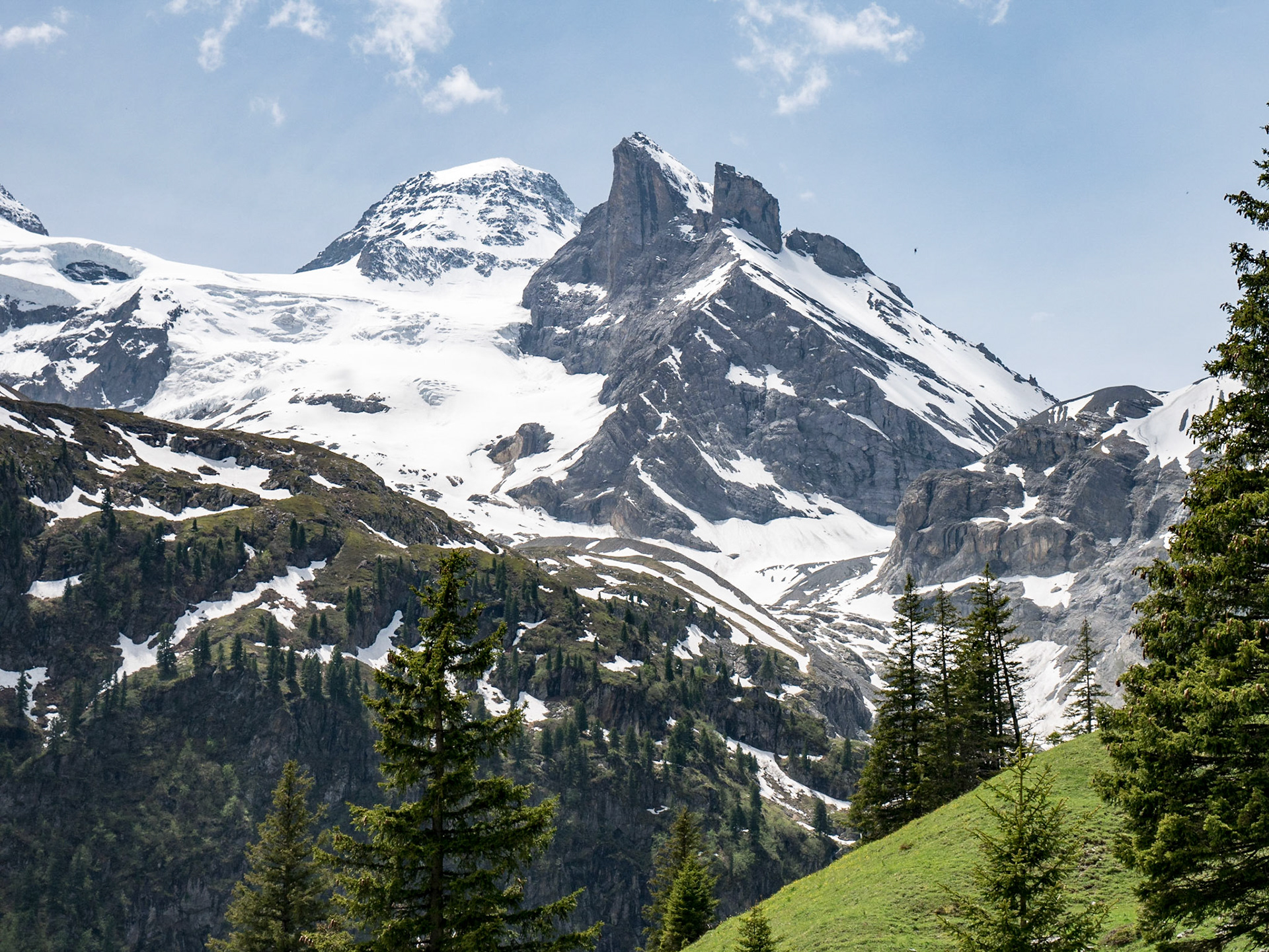 View from Obersteinberg