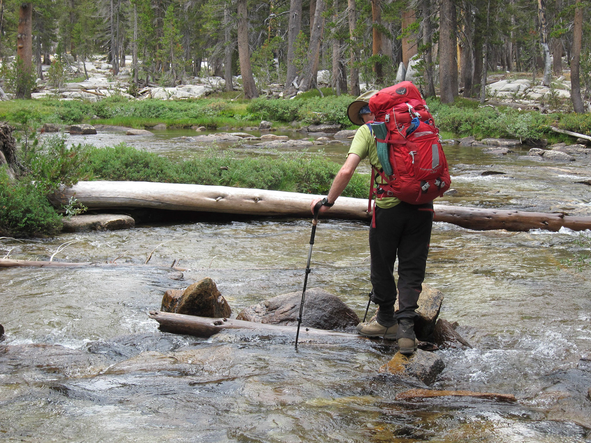 Crossing Hilgard Branch of Bear Creek
