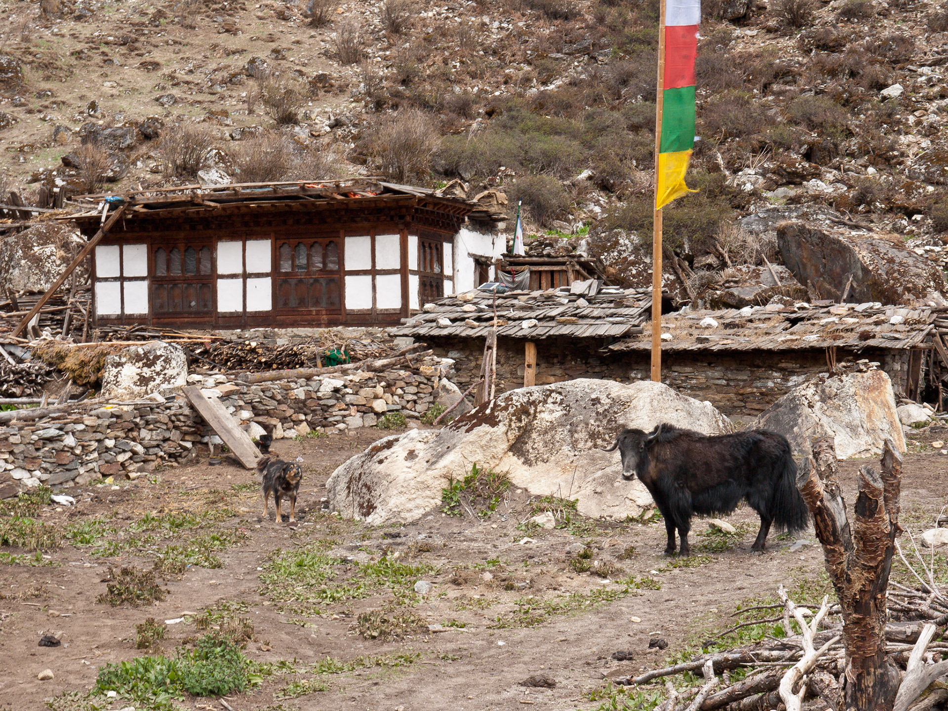 (Thangthangkha to Jangothang)