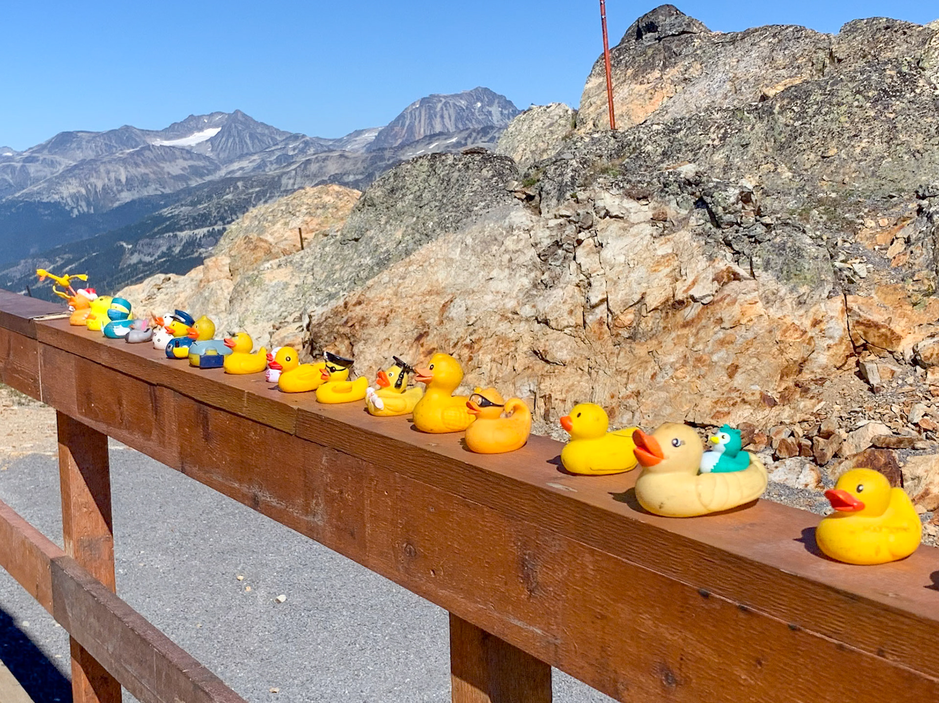 Whistler: High Note and Musical Bumps