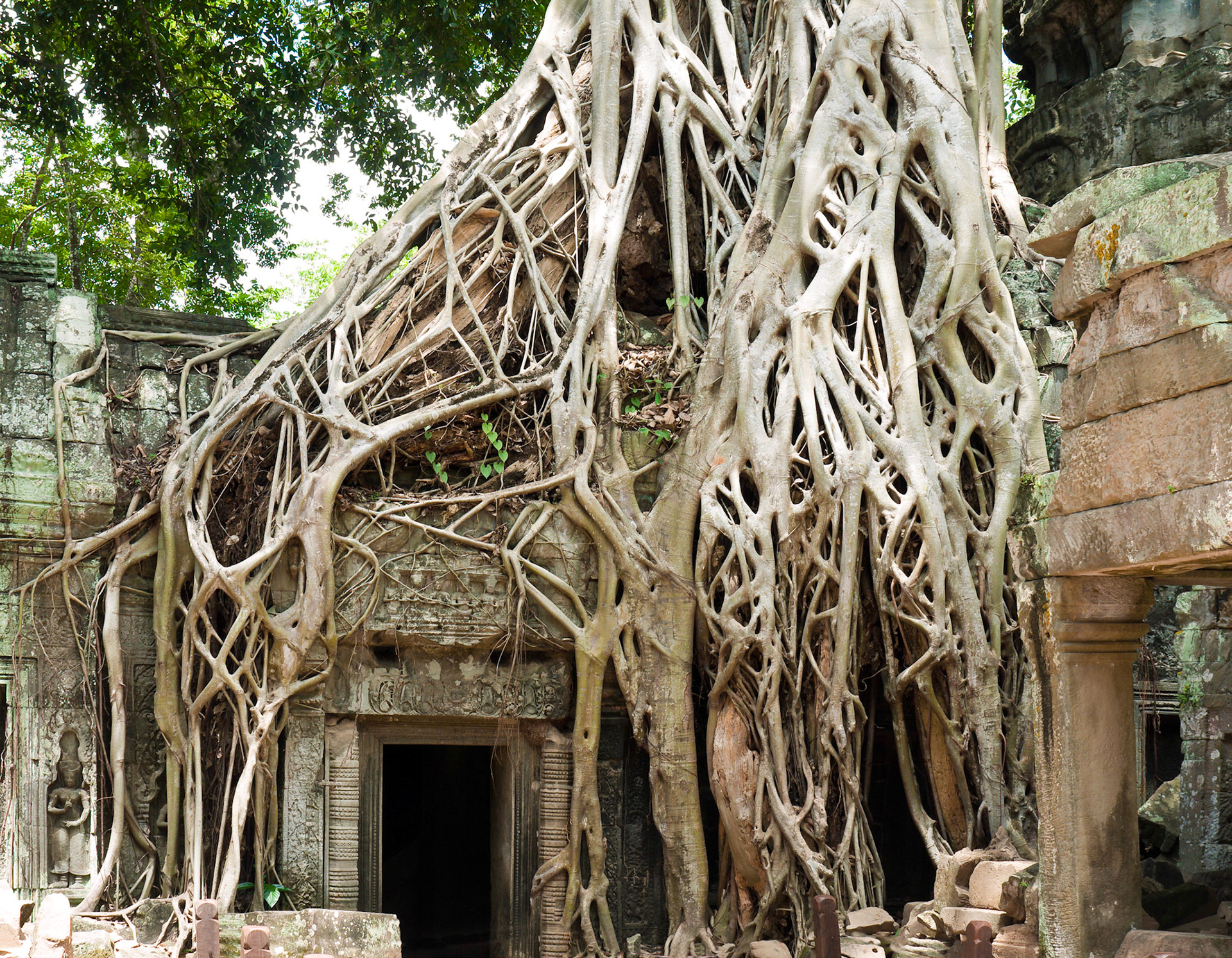 (Ta Prohm)