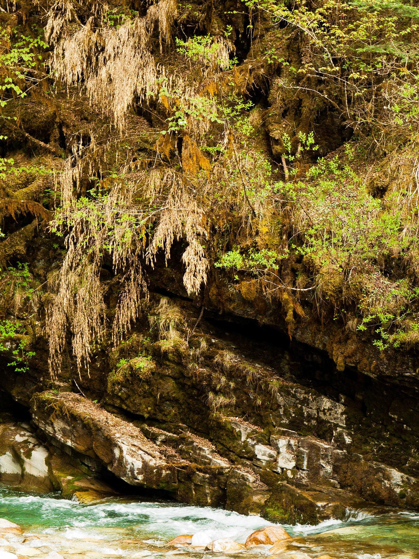 (Shodu to Dom Shisa)