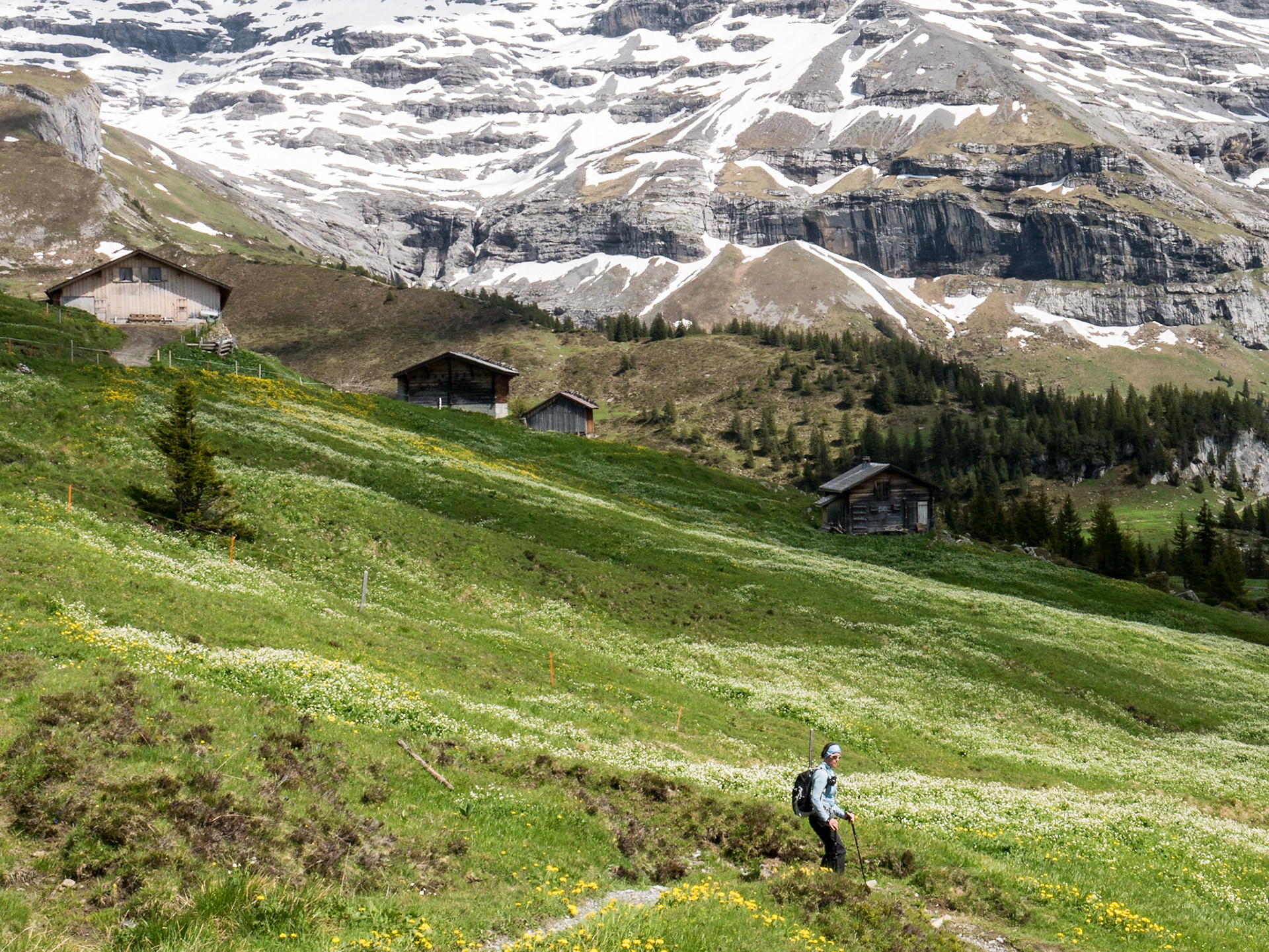 Below Wengernalp (Grindlewald to Wengen)