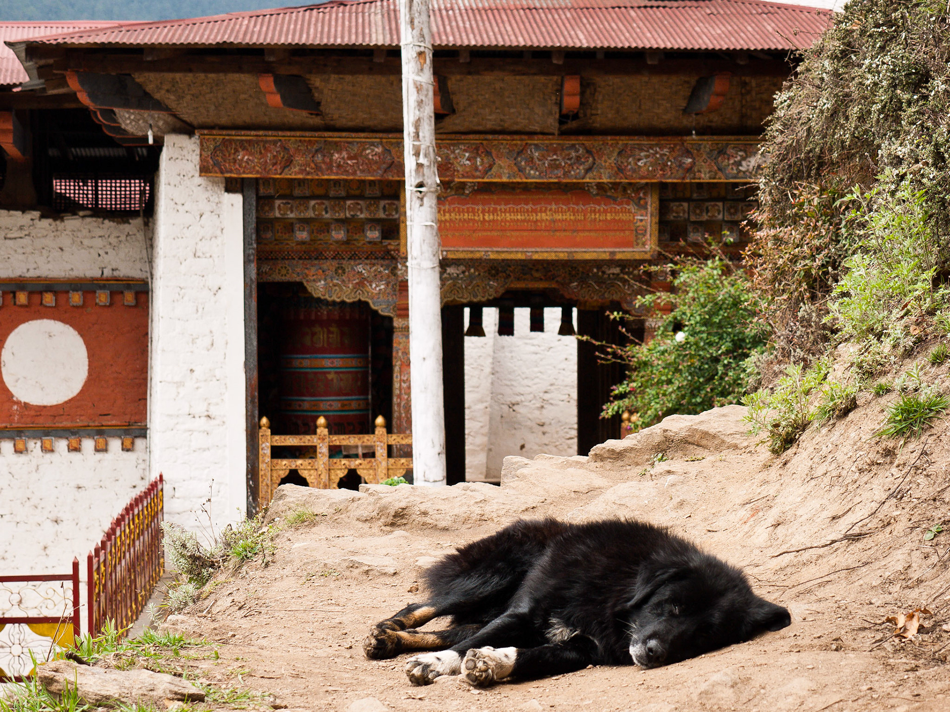 (Tango Goemba, Thimphu)