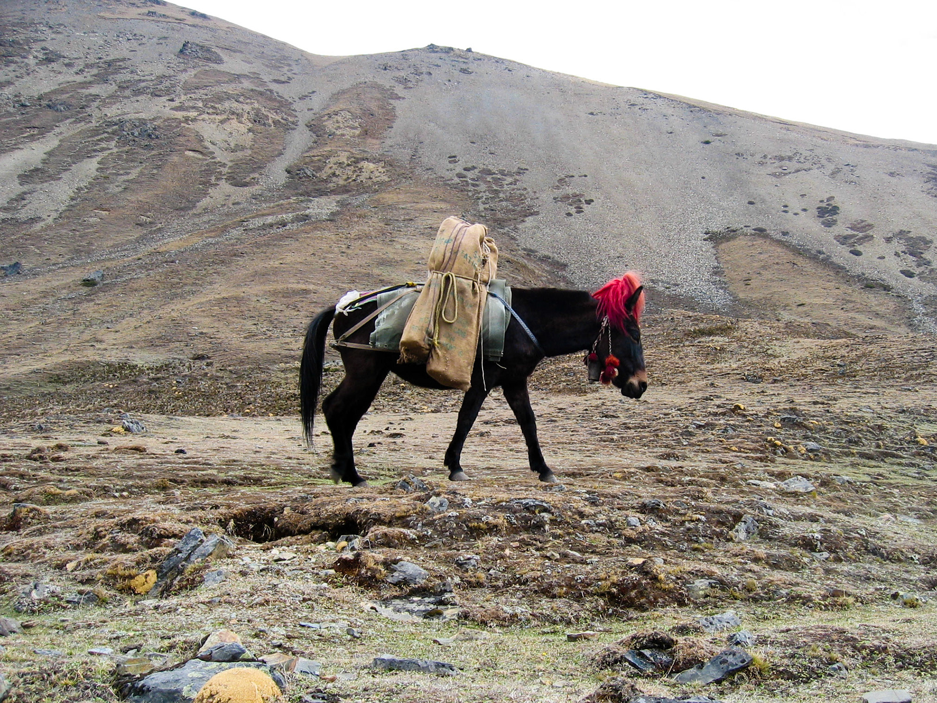 (Jangothang to Lingshi)