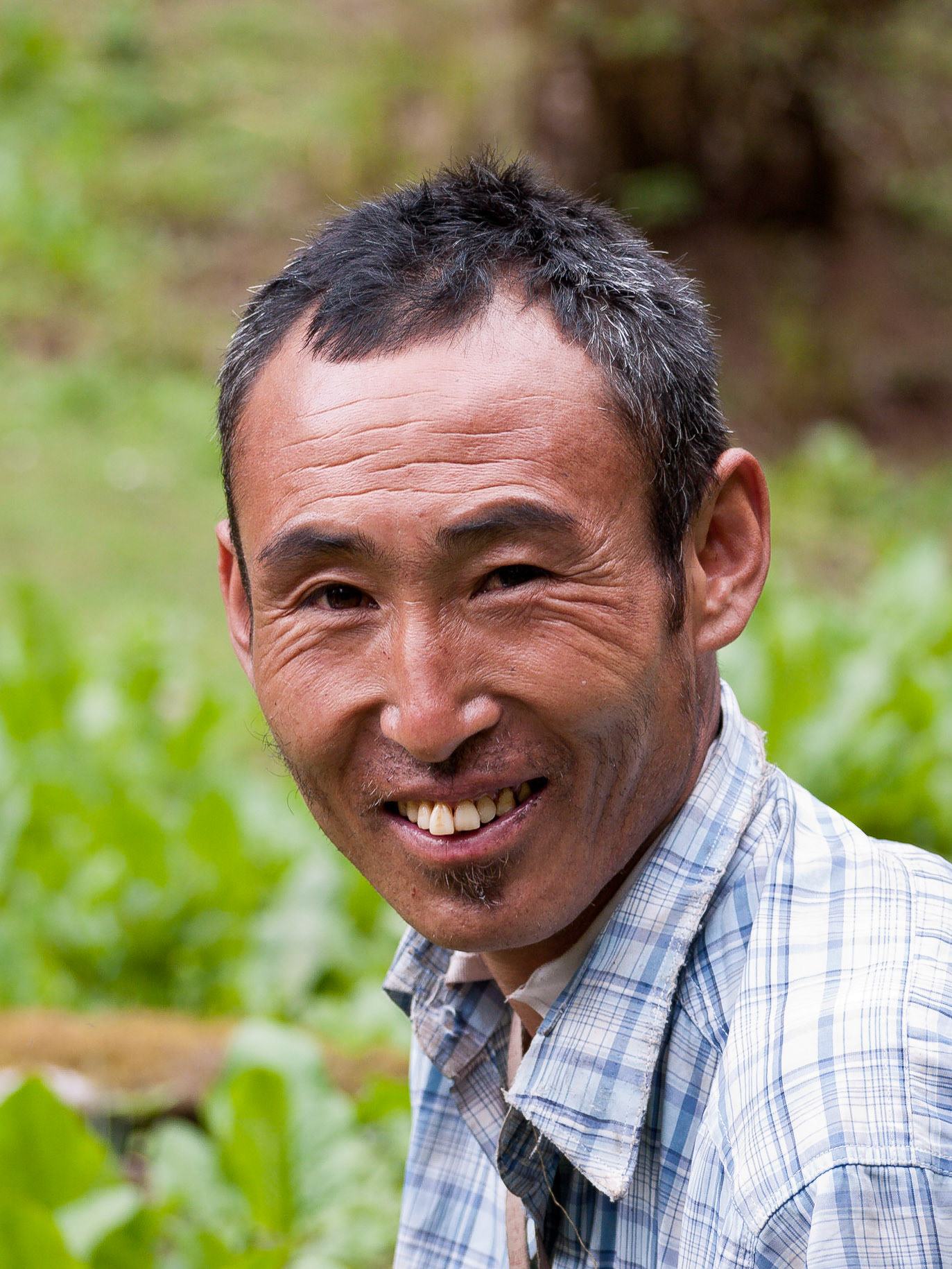 Dom Shisa to Dolam Kencho