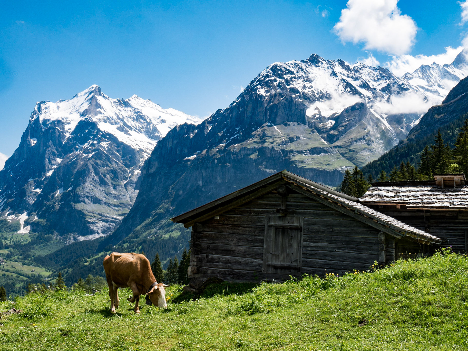 Brandegg (Grindelwald to Wengen)