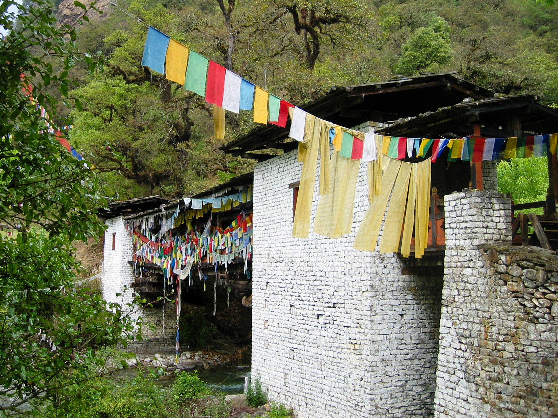 (Trek's End, Dodina)