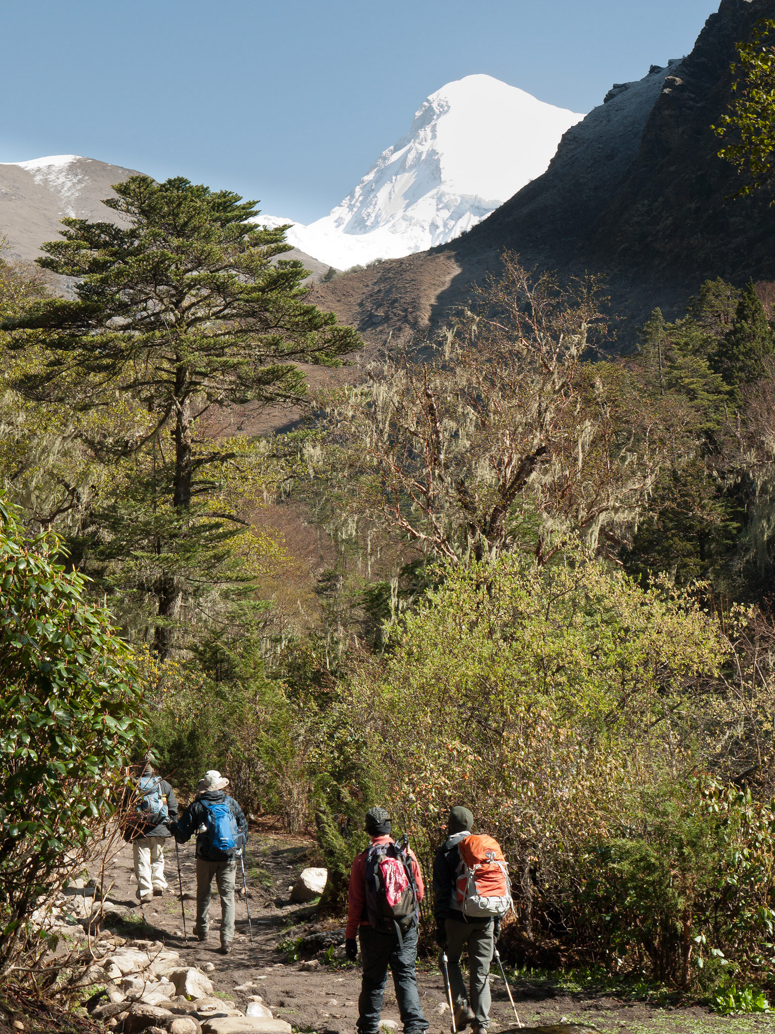 (Thangthangkha to Jangothang)