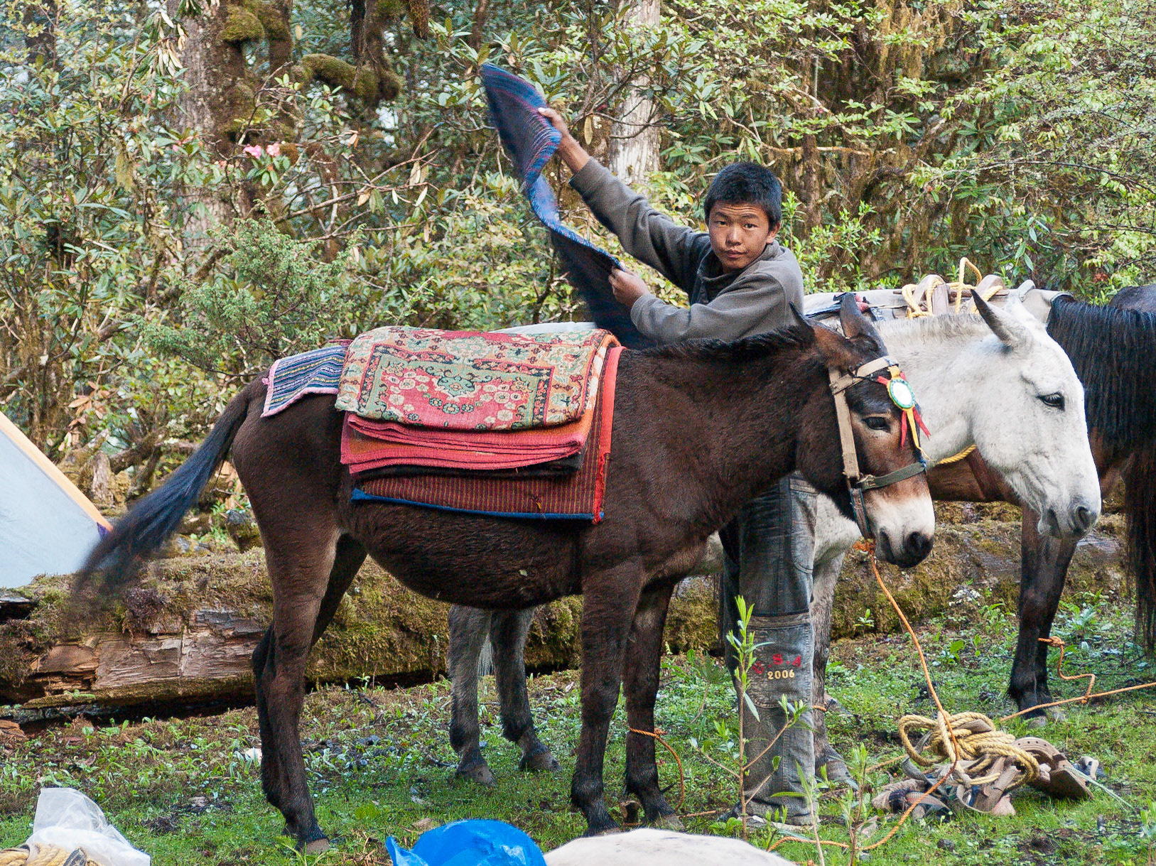 Dolam Kencho to Dodina