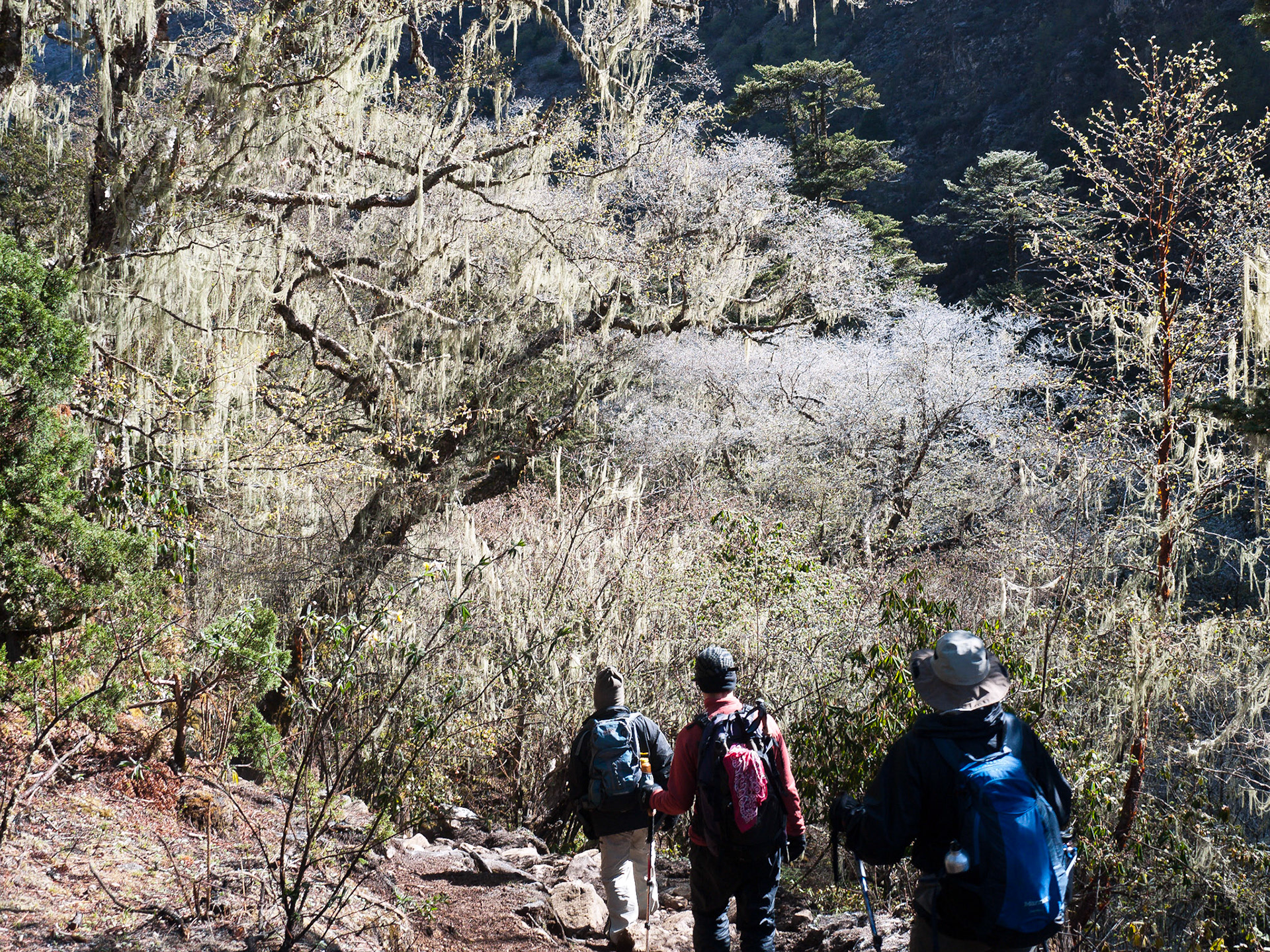 (Thangthangkha to Jangothang)