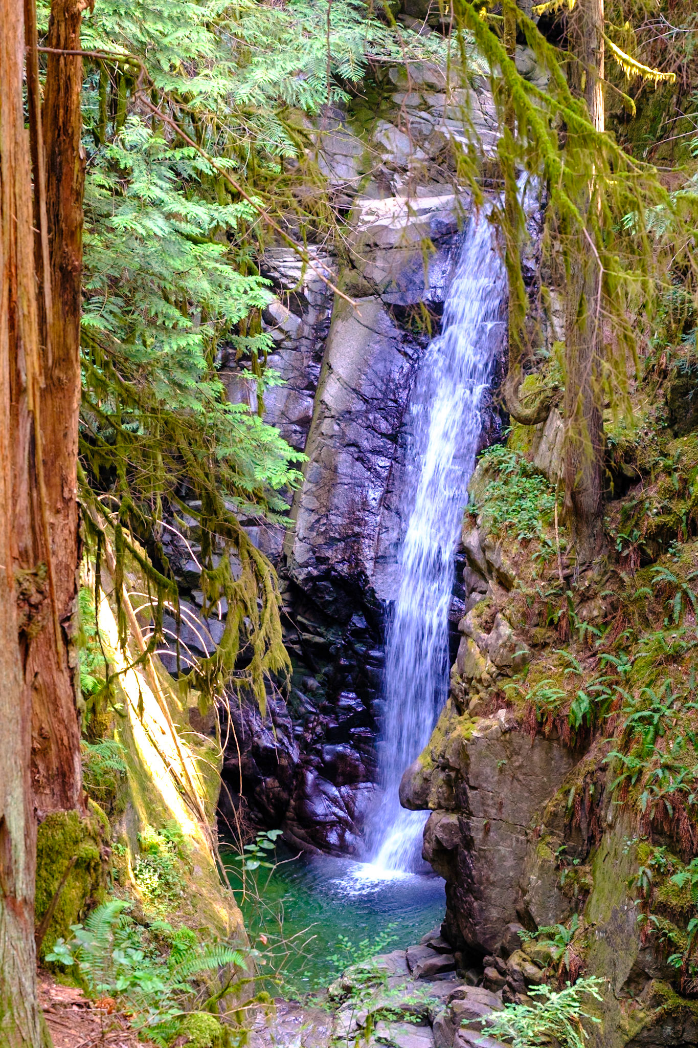 Cypress Falls