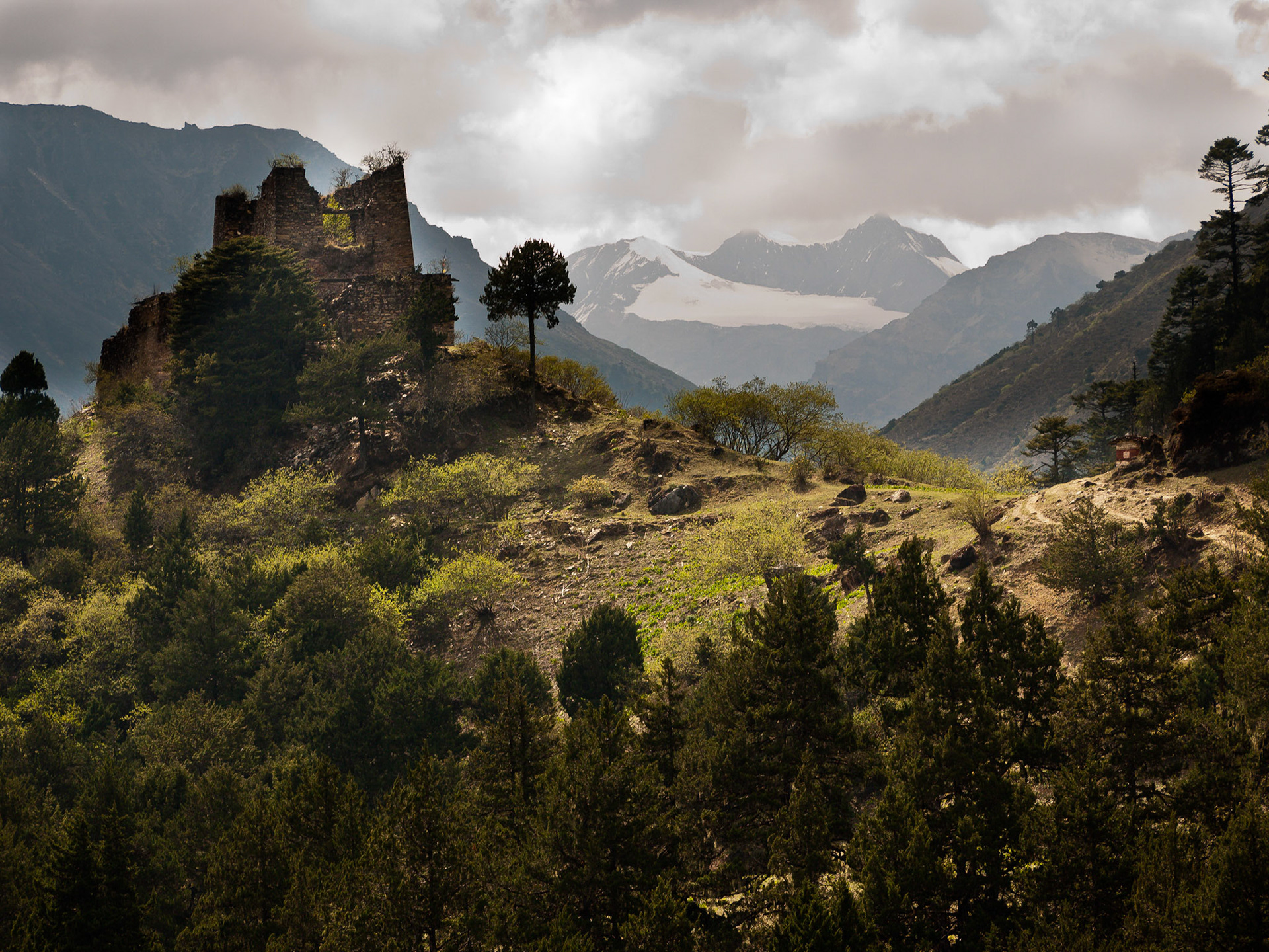 (Shodu to Dom Shisa)