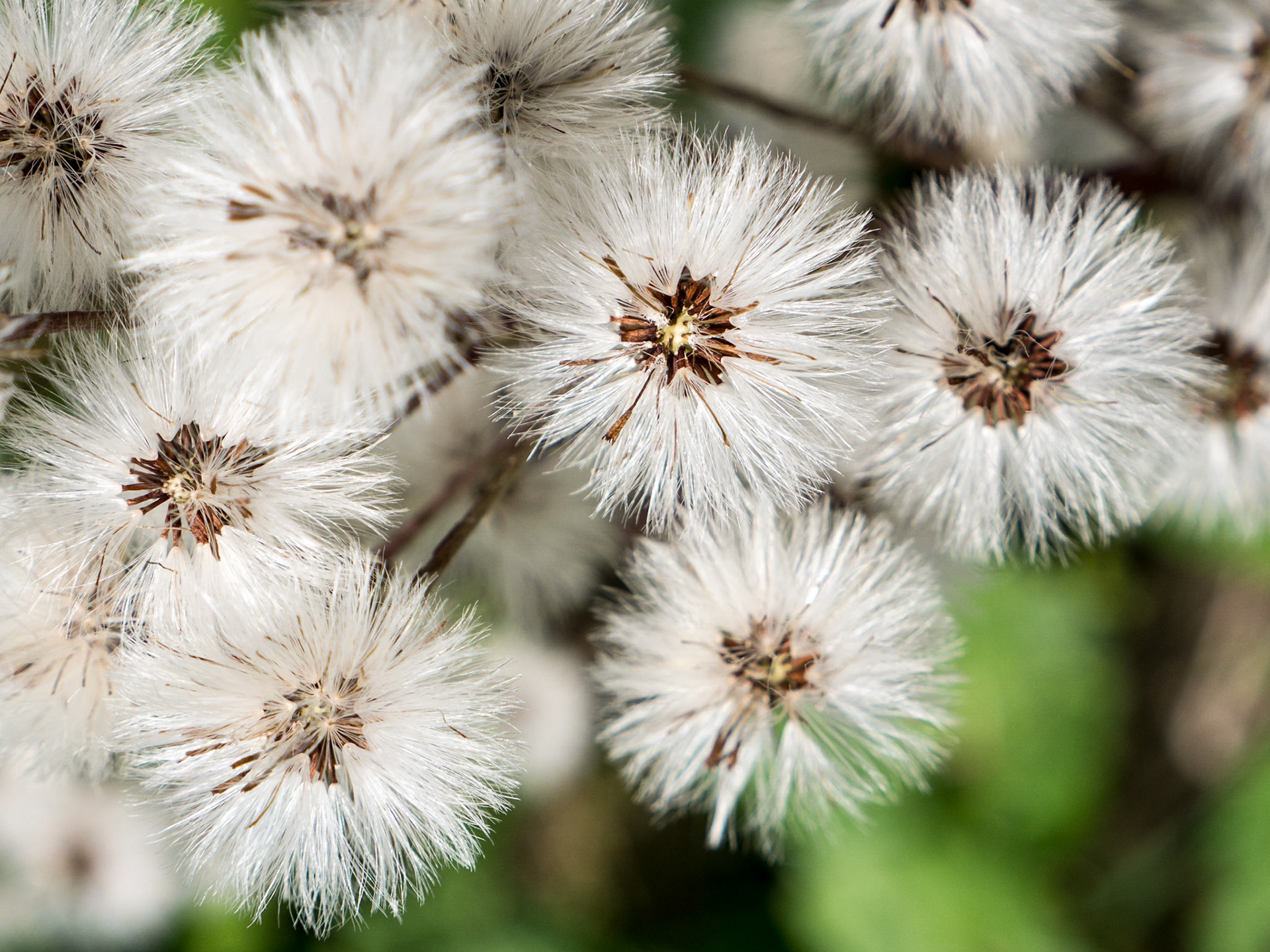 Stechelberg to Obersteinberg