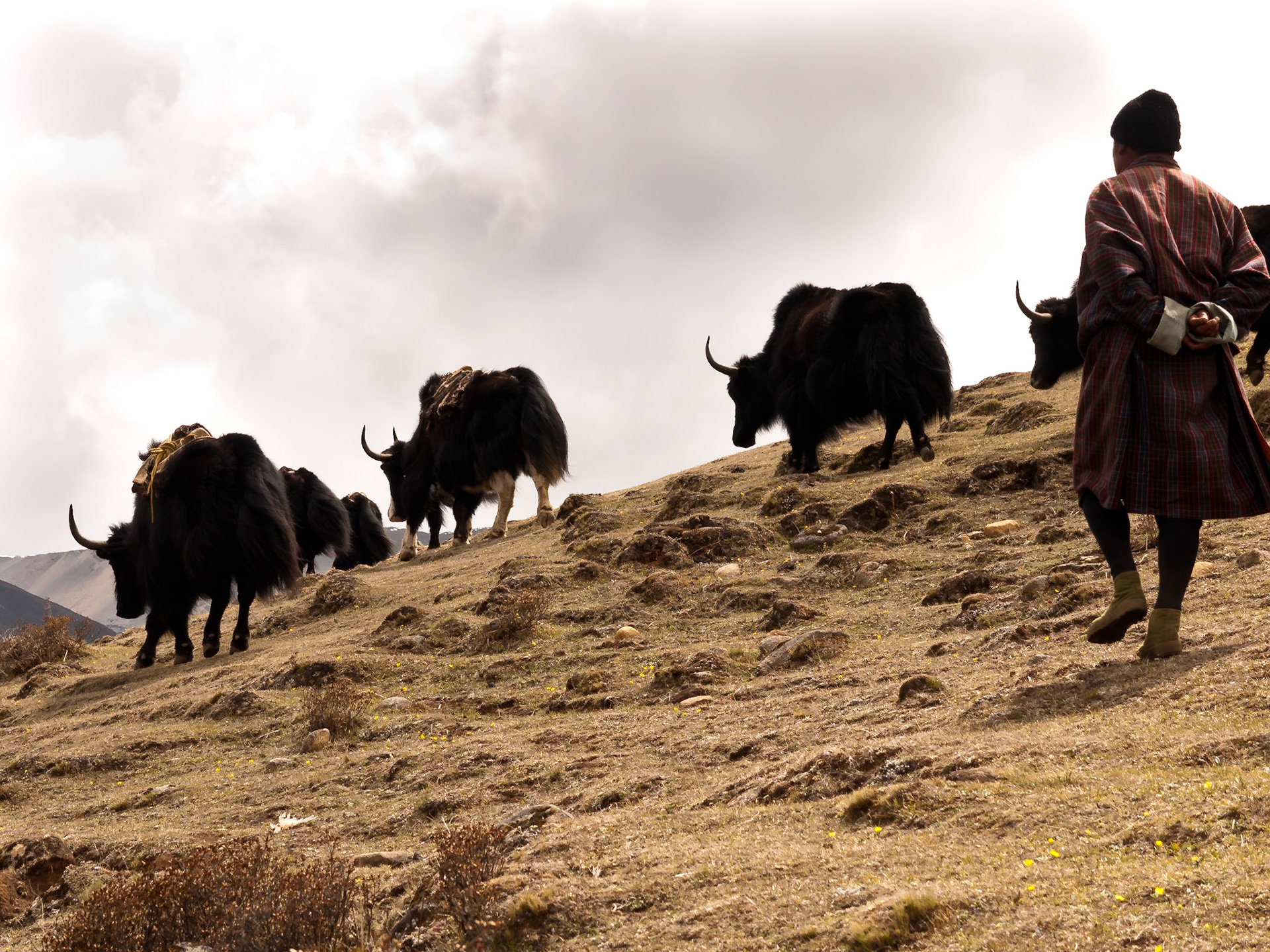 (Jangothang to Lingshi)