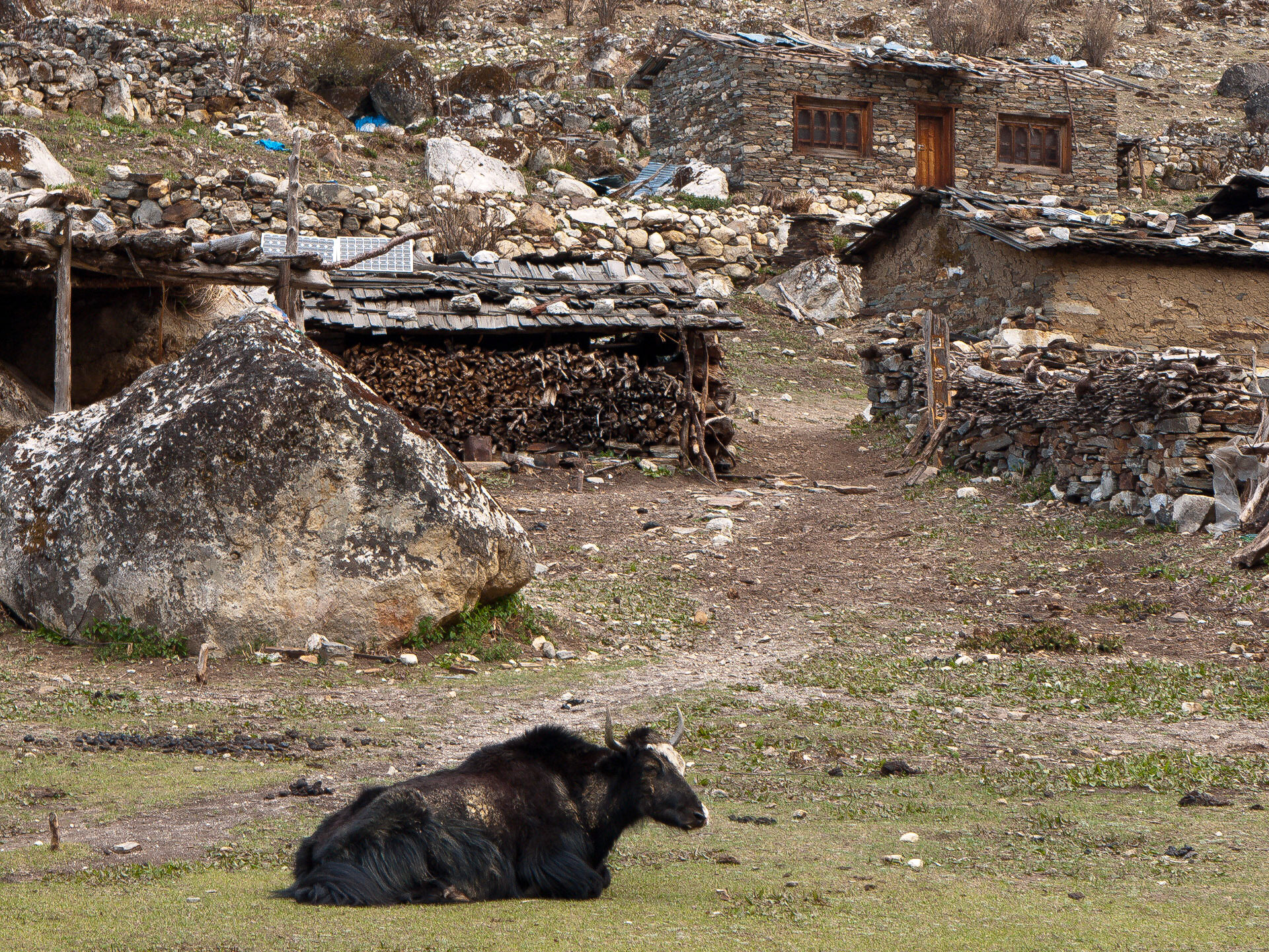 (Thangthangkha to Jangothang)