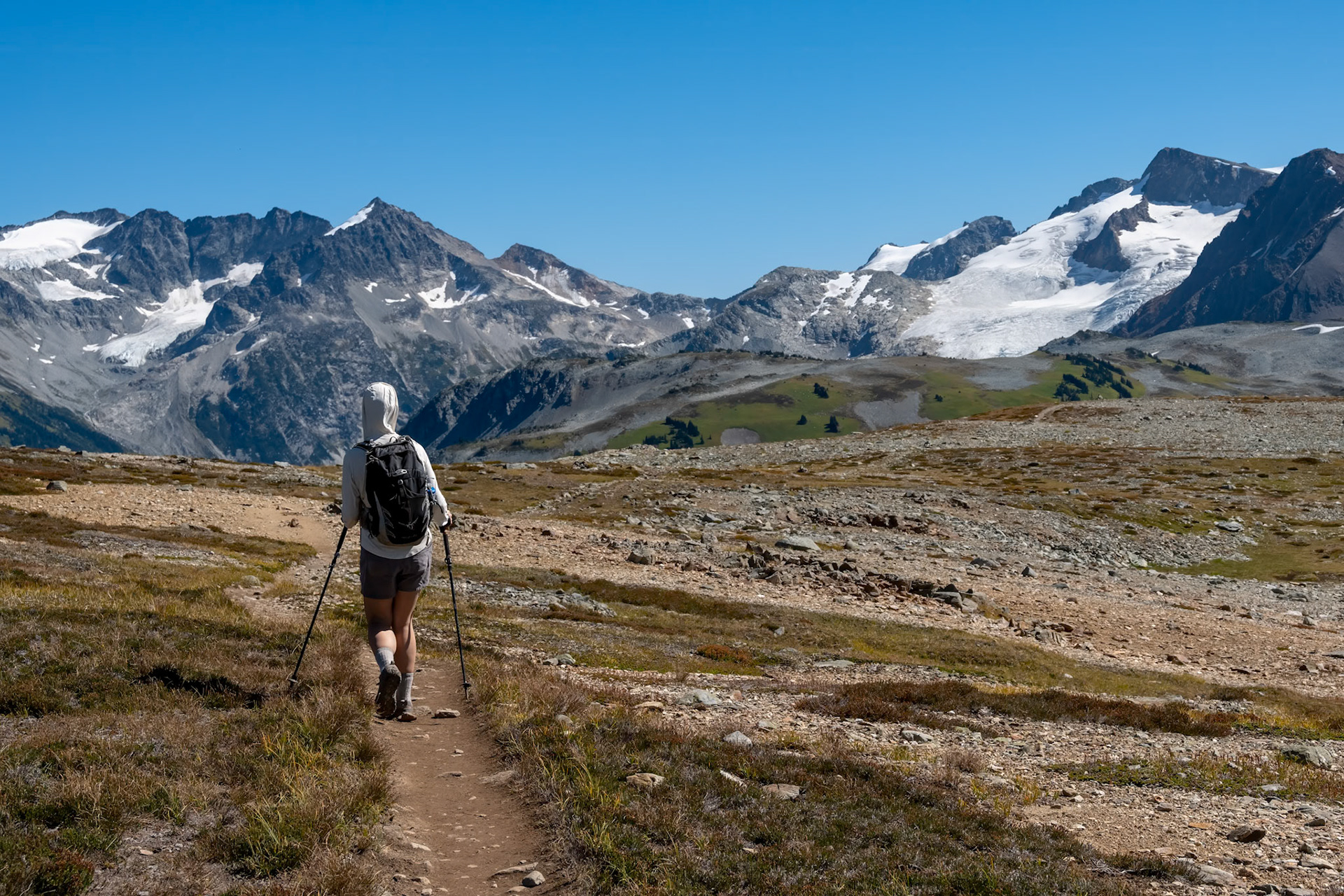 Whistler: High Note and Musical Bumps