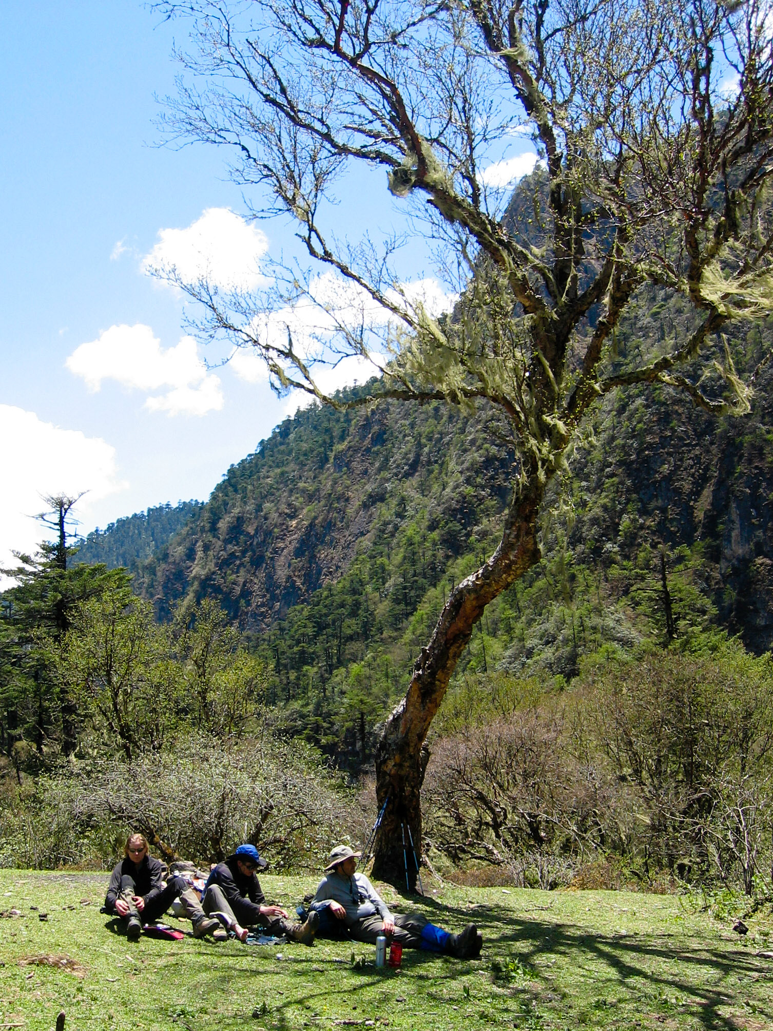 (Shodu to Dom Shisa)